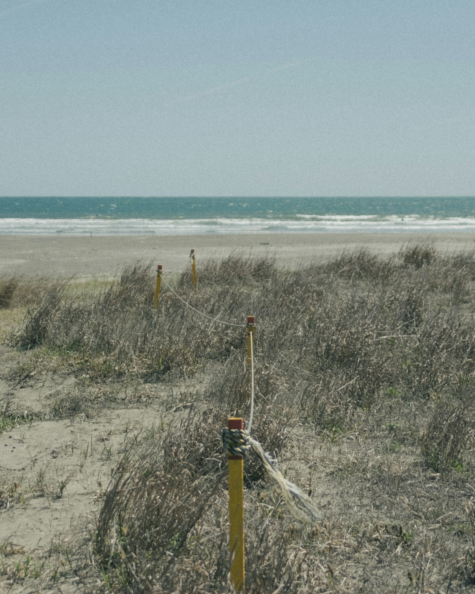 Paisaje de playa con mar y hierba, postes amarillos y cuerda visibles