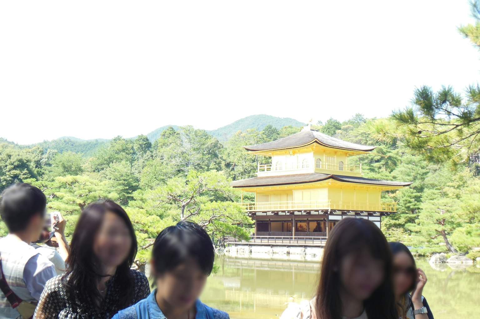 人们聚集在金阁寺前，背景是郁郁葱葱的绿树