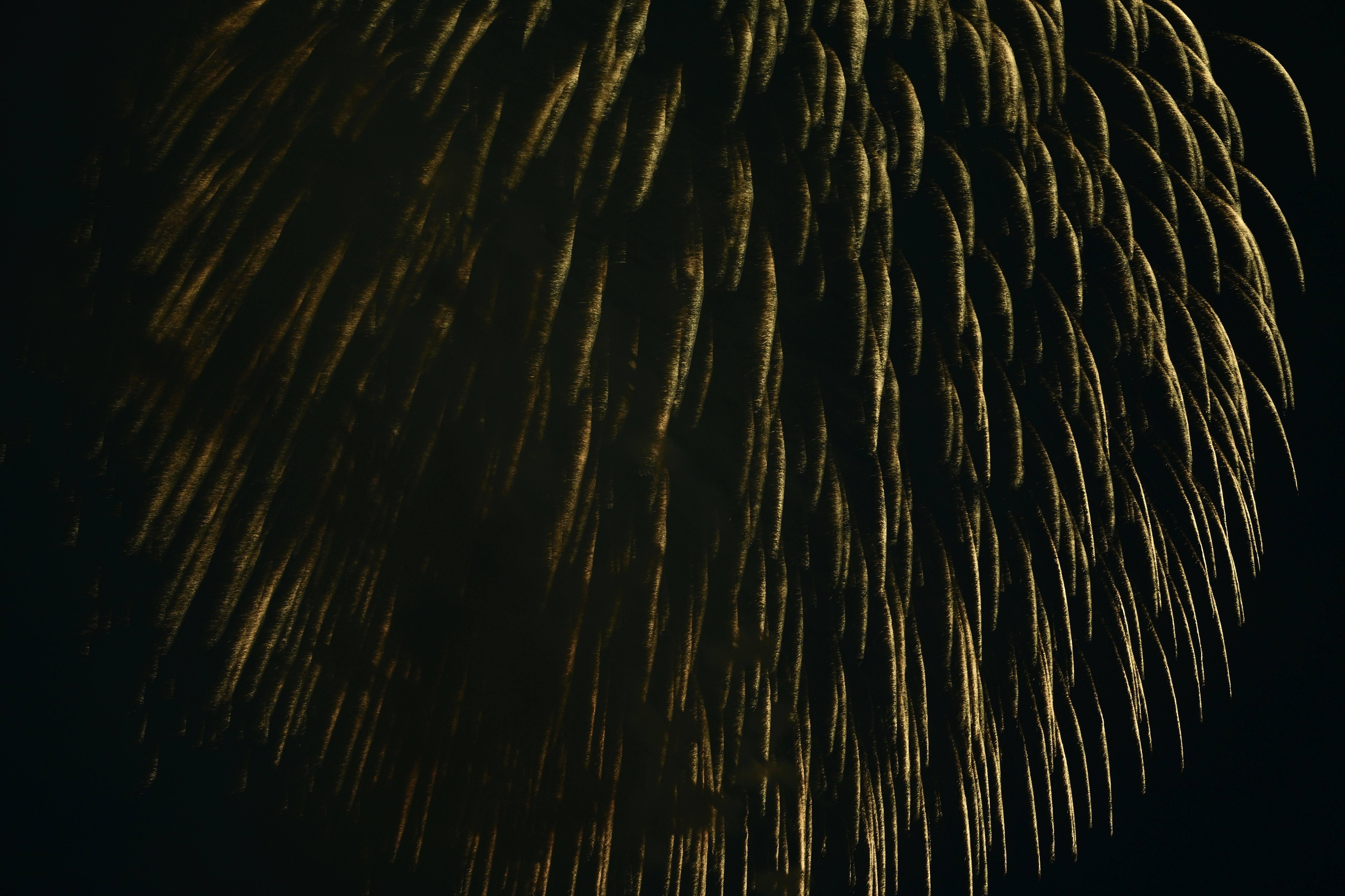 abstract pattern of light streaks spreading across a dark background