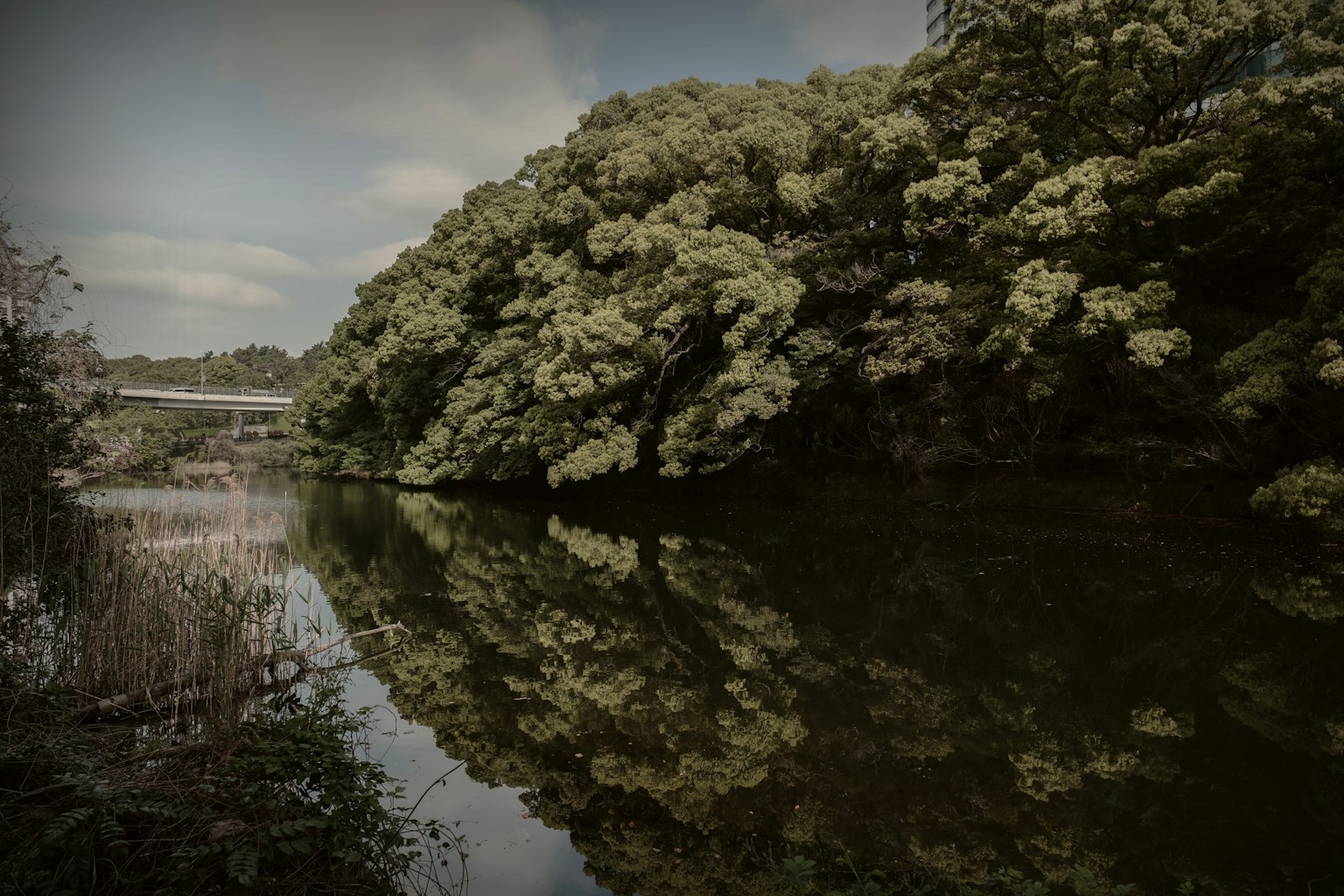 Ruhige Flusslandschaft mit grünen Baumreflexionen und sichtbarer Brücke