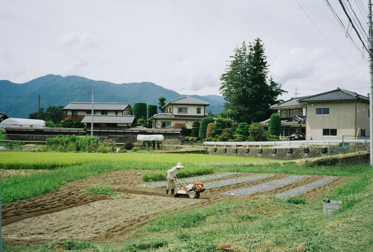 一個人在稻田裡工作，背景是房屋和山脈