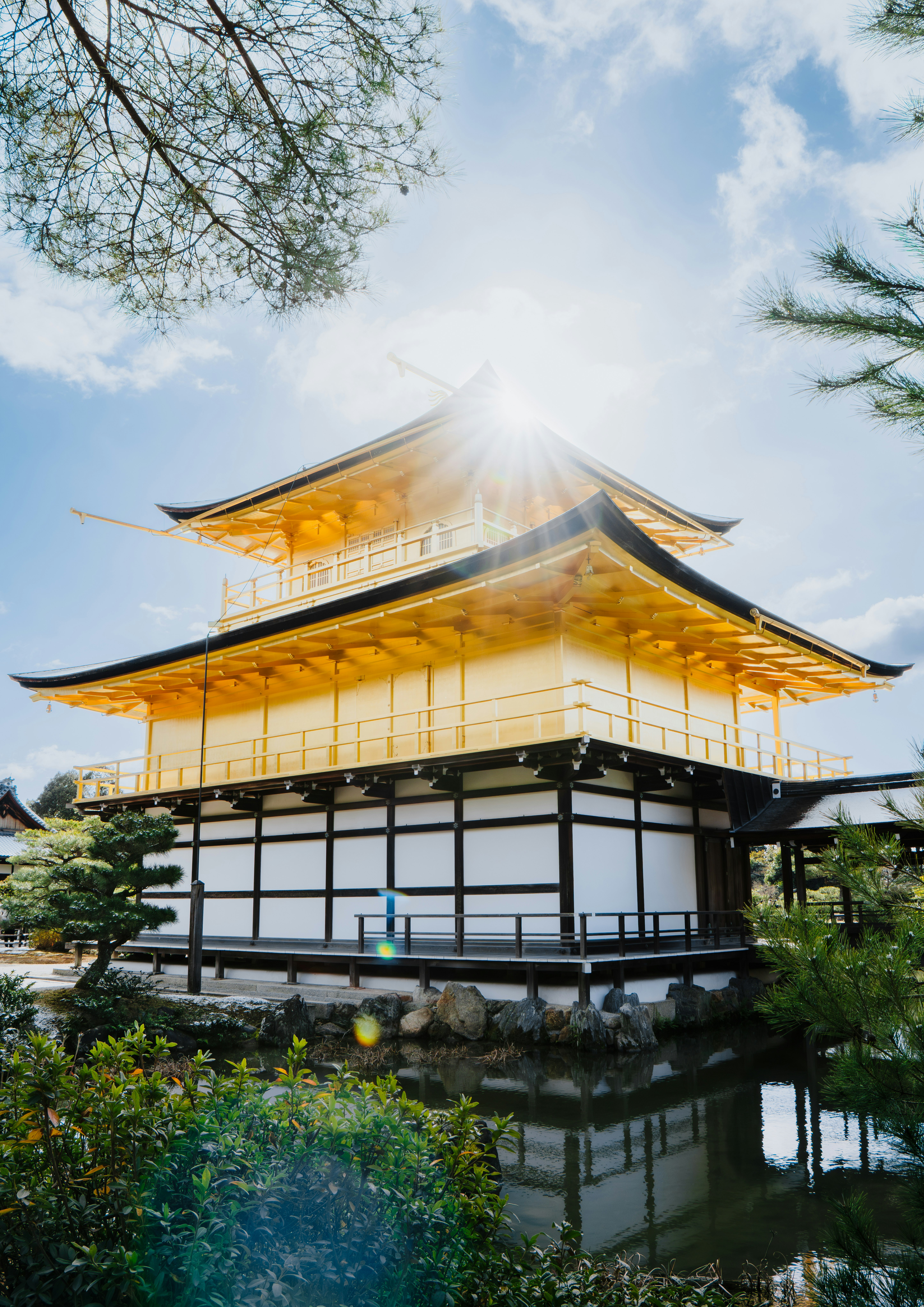 金閣寺の金色の楼閣と朝の光が差す庭園