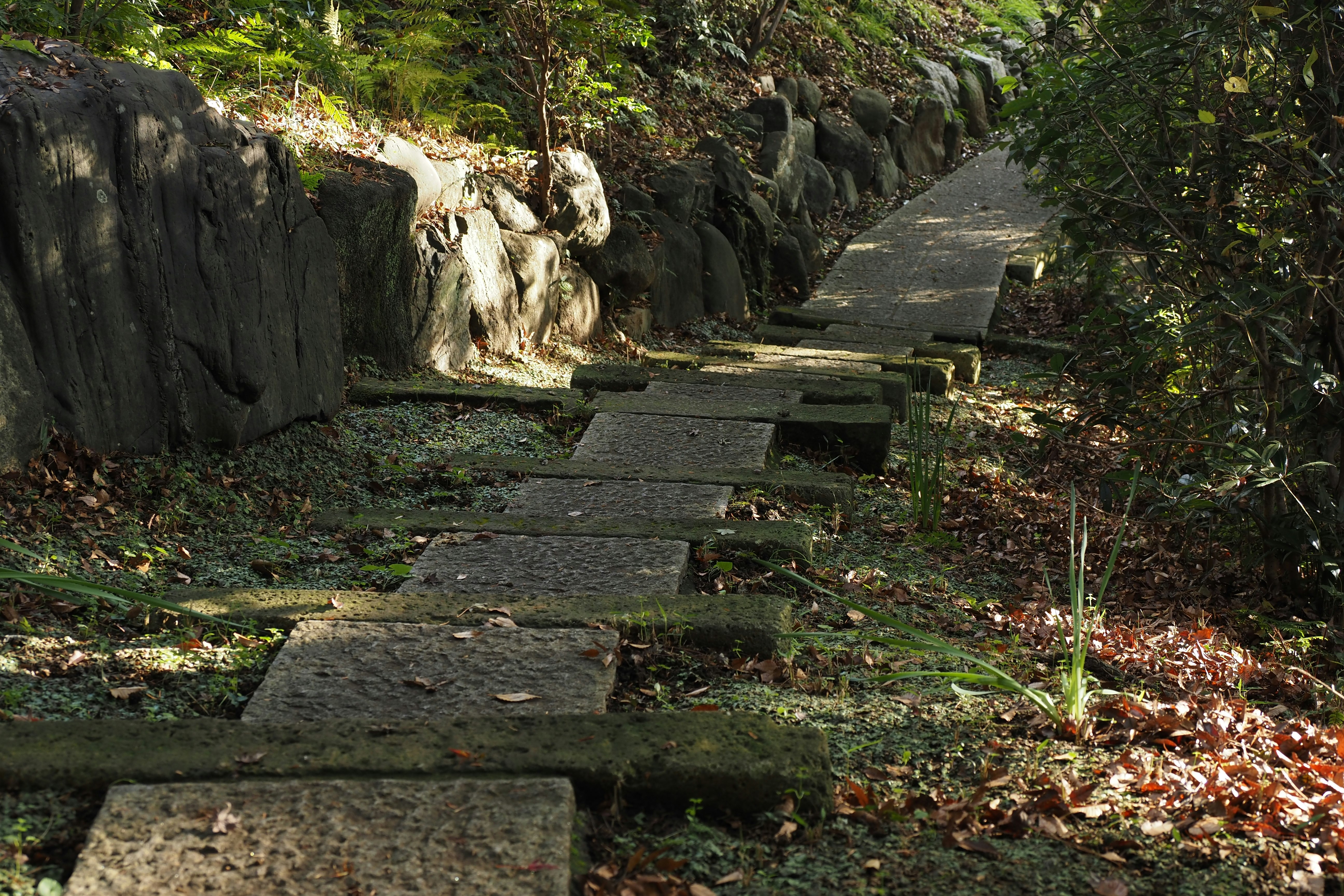 石段と苔むした小道が続く森の散策路