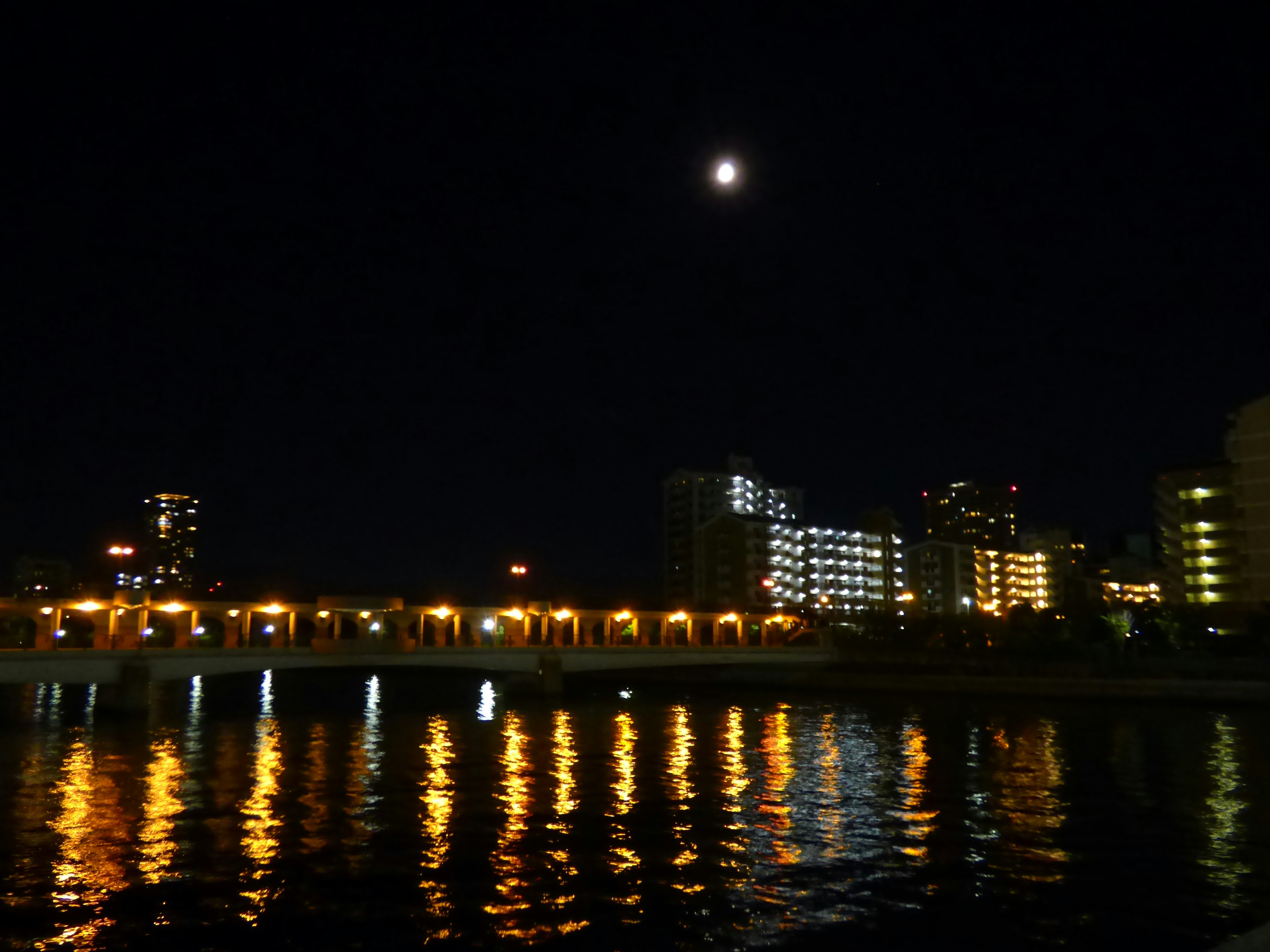川沿いの夜景と街の灯りが反射する水面