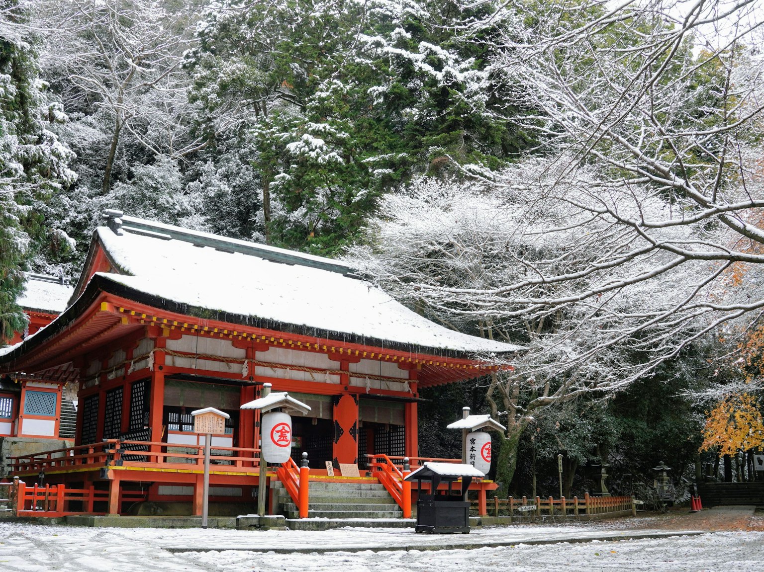 被雪覆盖的神社美丽景观鲜艳的红色建筑和白色雪的和谐