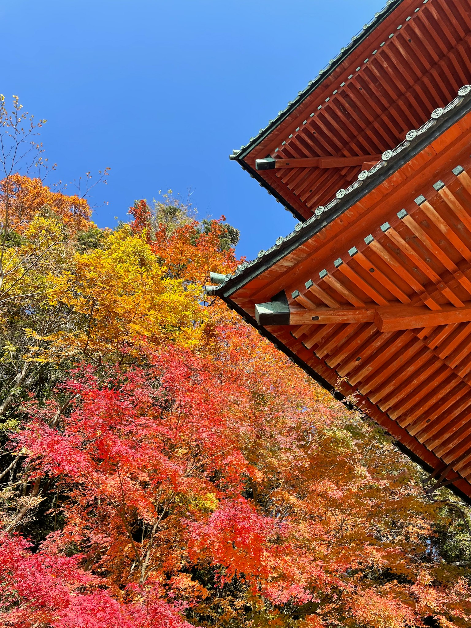 Superbe feuillage d'automne avec structure de toit traditionnel