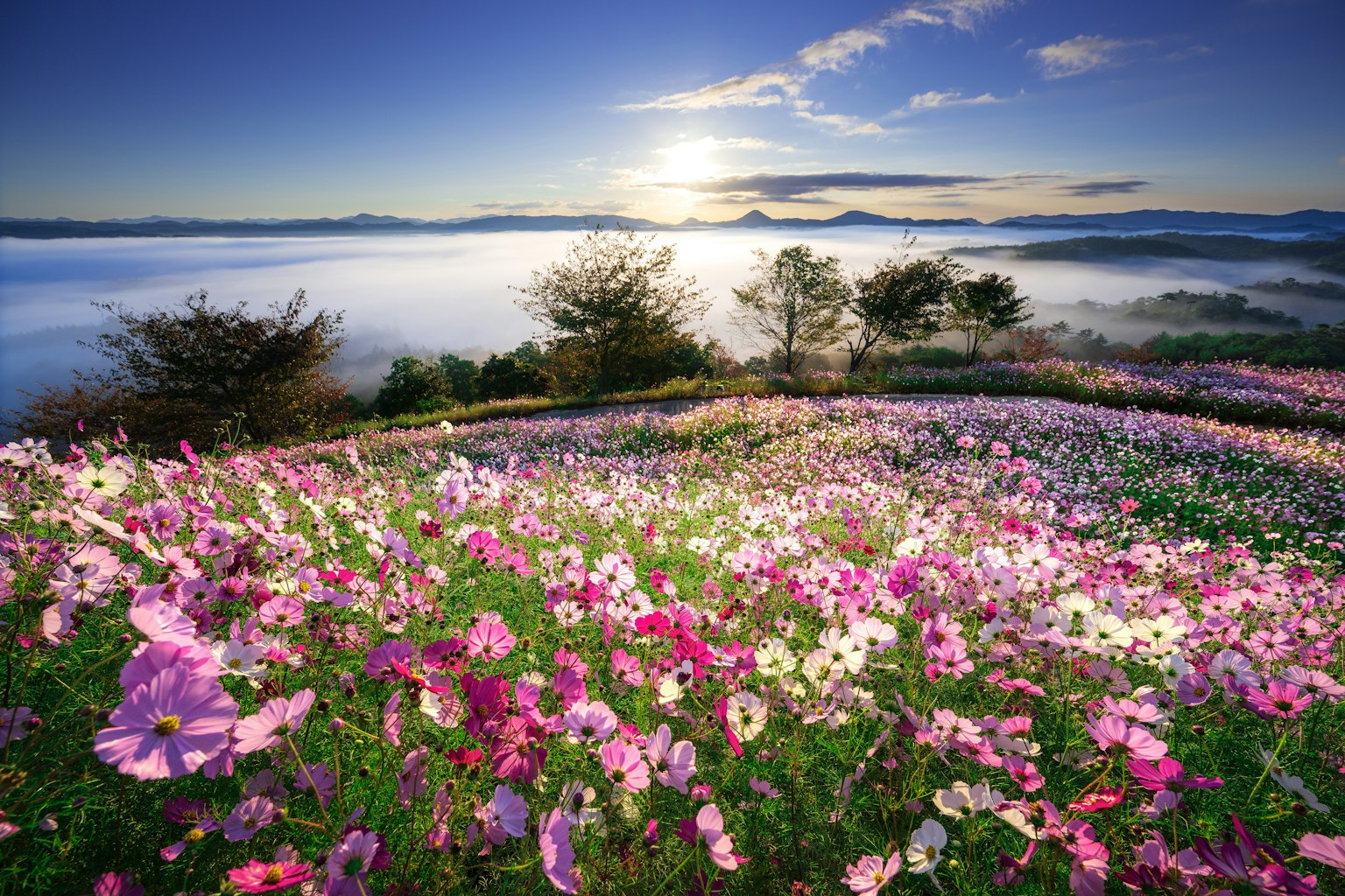 photo-f2W8QhIpBa1ZDxSwLH0i-image