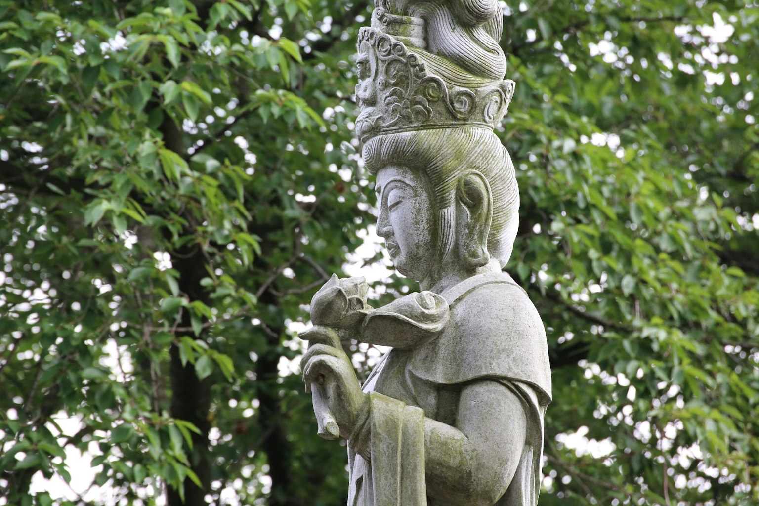 Statue of Guanyin surrounded by green foliage