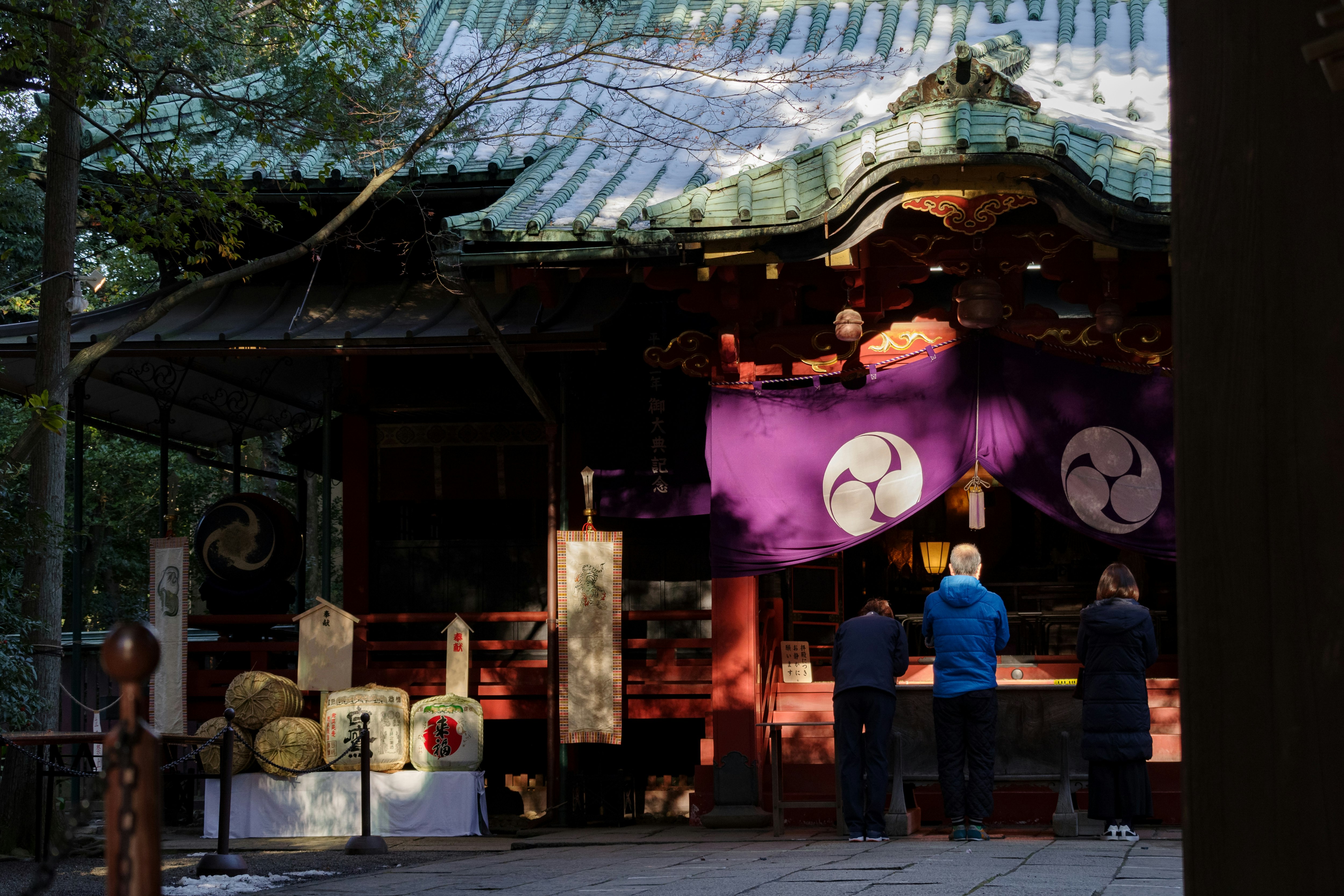 神社の社殿前で提灯と灯りが並ぶ参道の風景