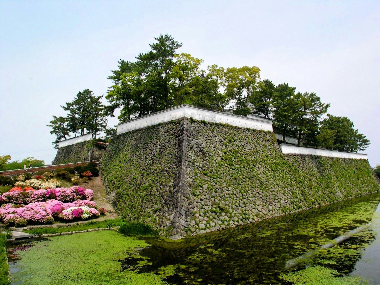 Vue historique d'un château avec des murs en pierre et des arbres verts