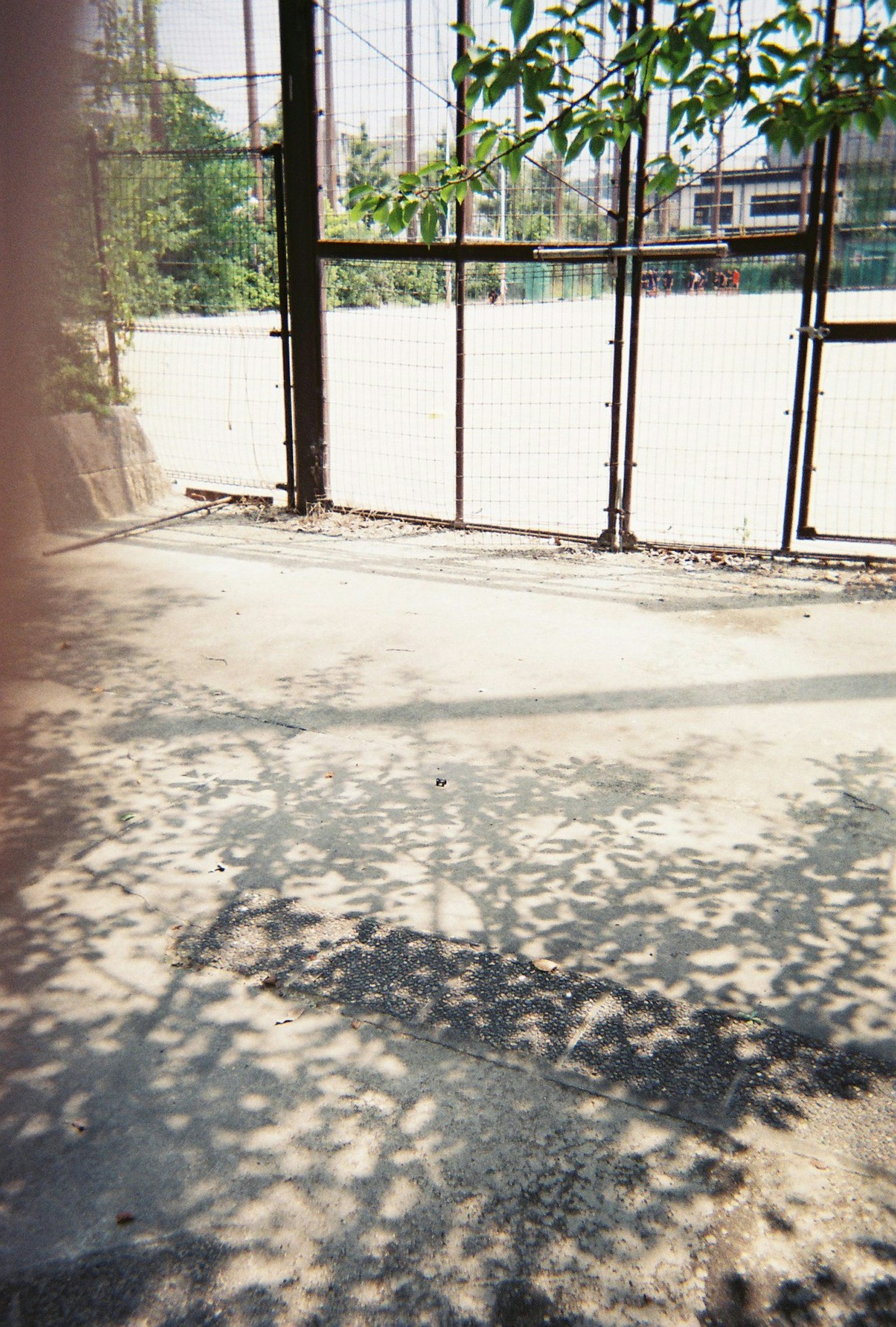 Sol en béton avec des ombres de feuillage
