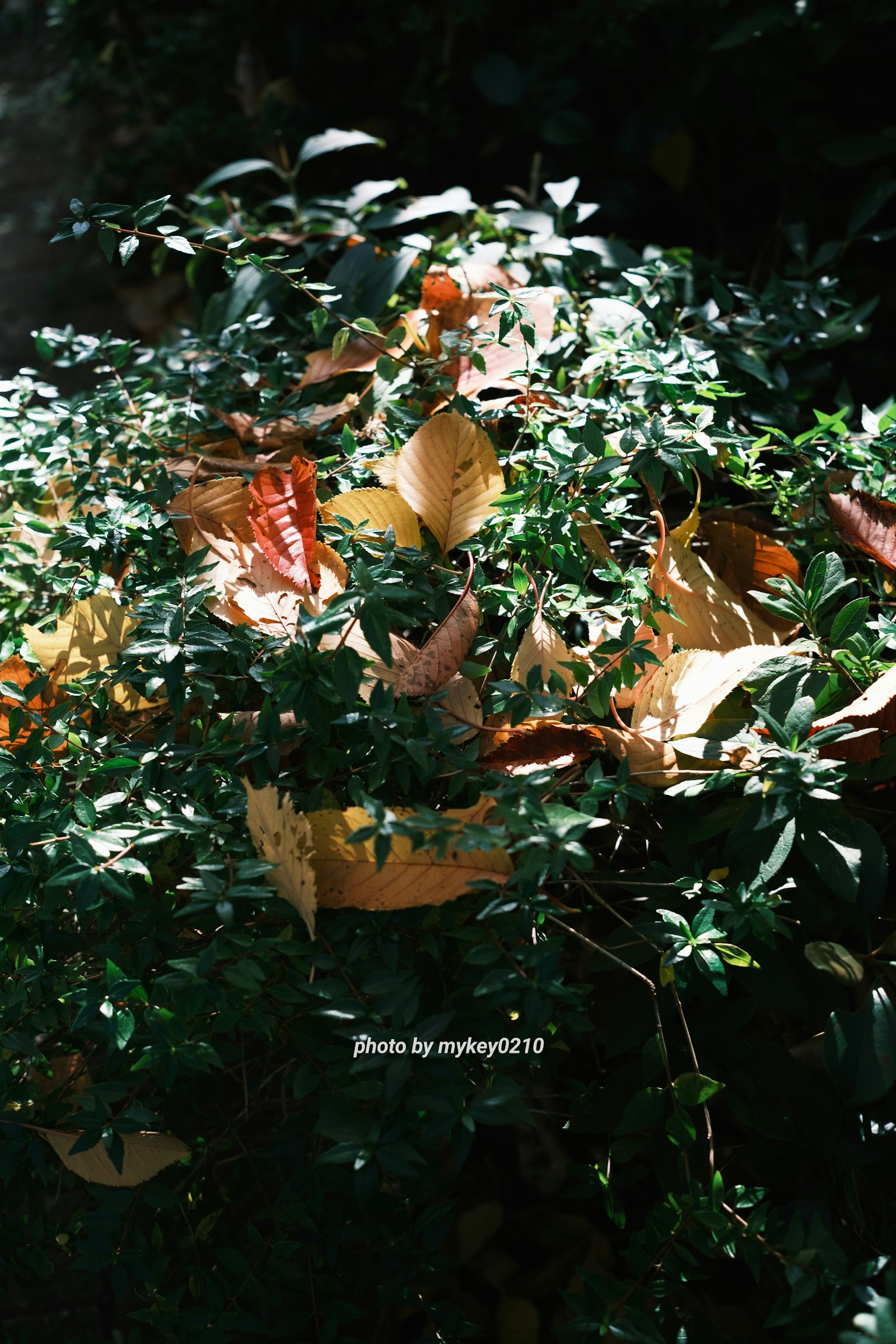 暗い背景にシンプルなデザインのグレーの四角形