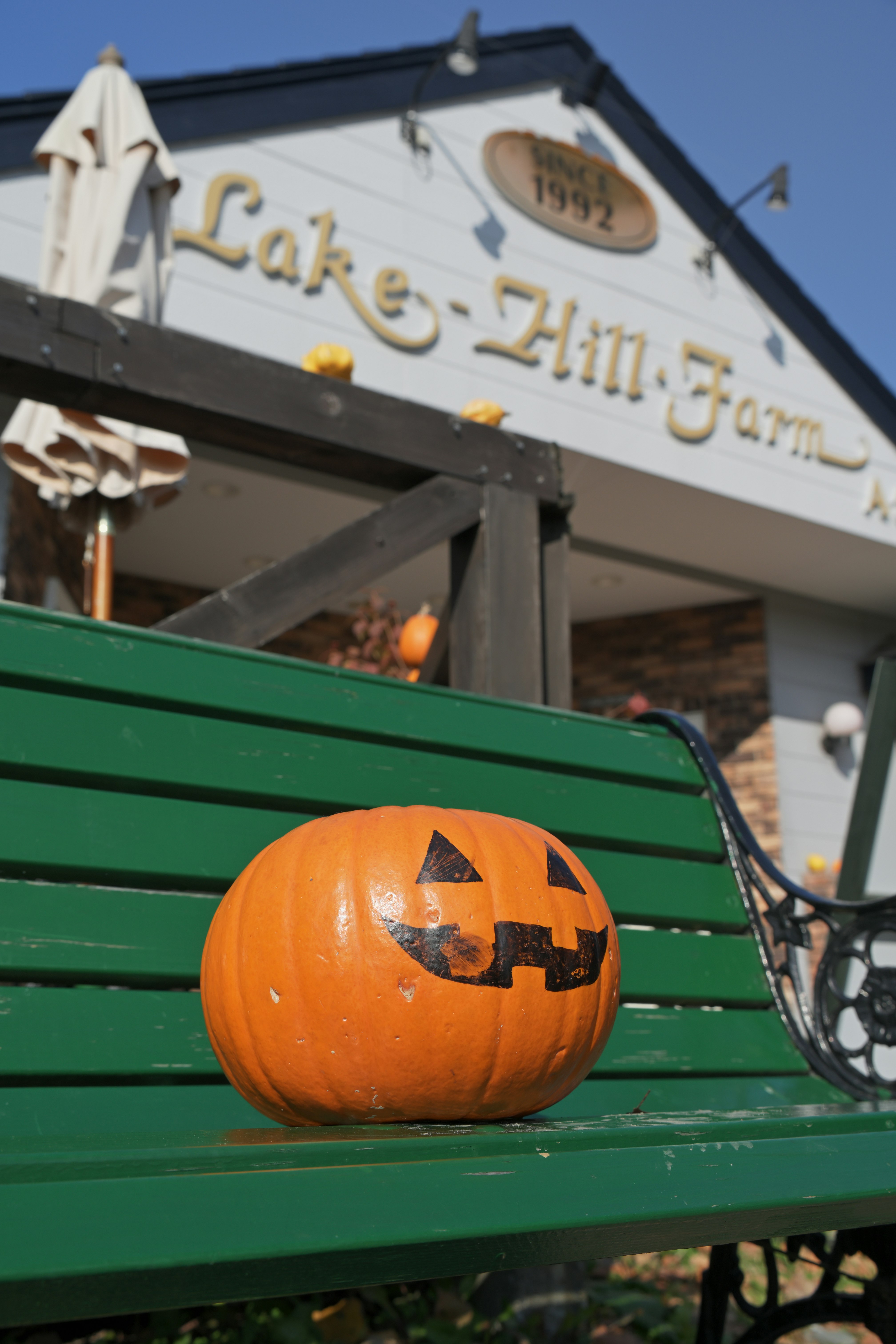 ハロウィンのカボチャが置かれた緑のベンチと店先の看板