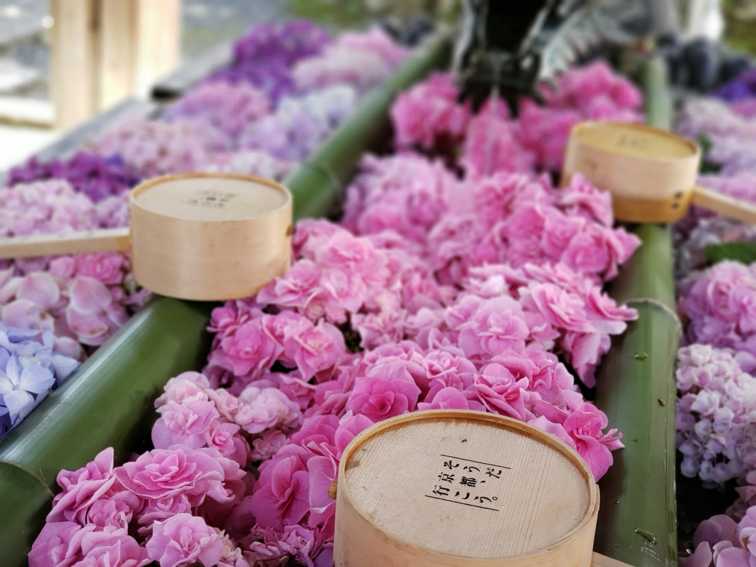 Bellissimo allestimento di fiori rosa e contenitori di legno su bambù