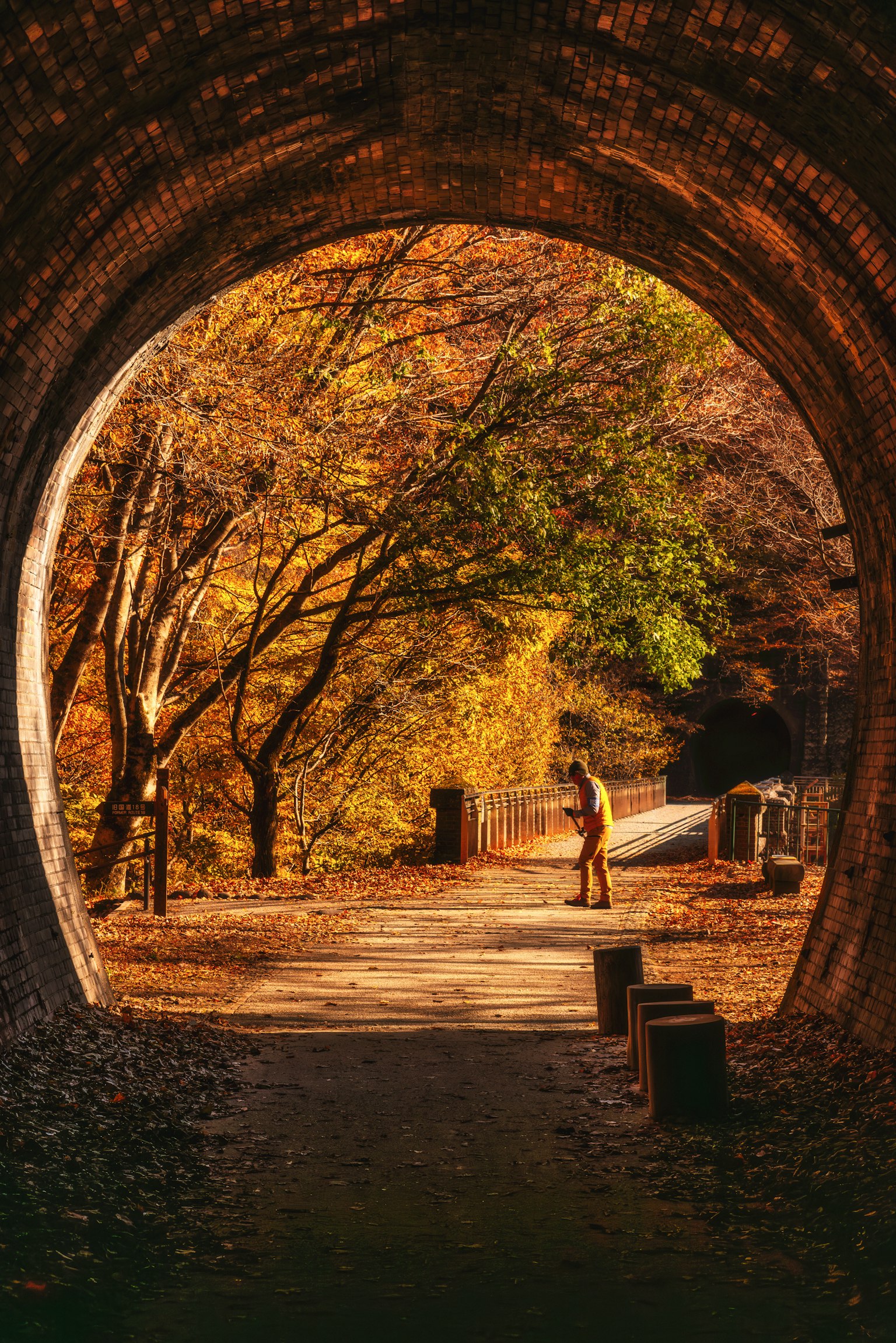 秋の色合いのトンネルを通り抜ける人