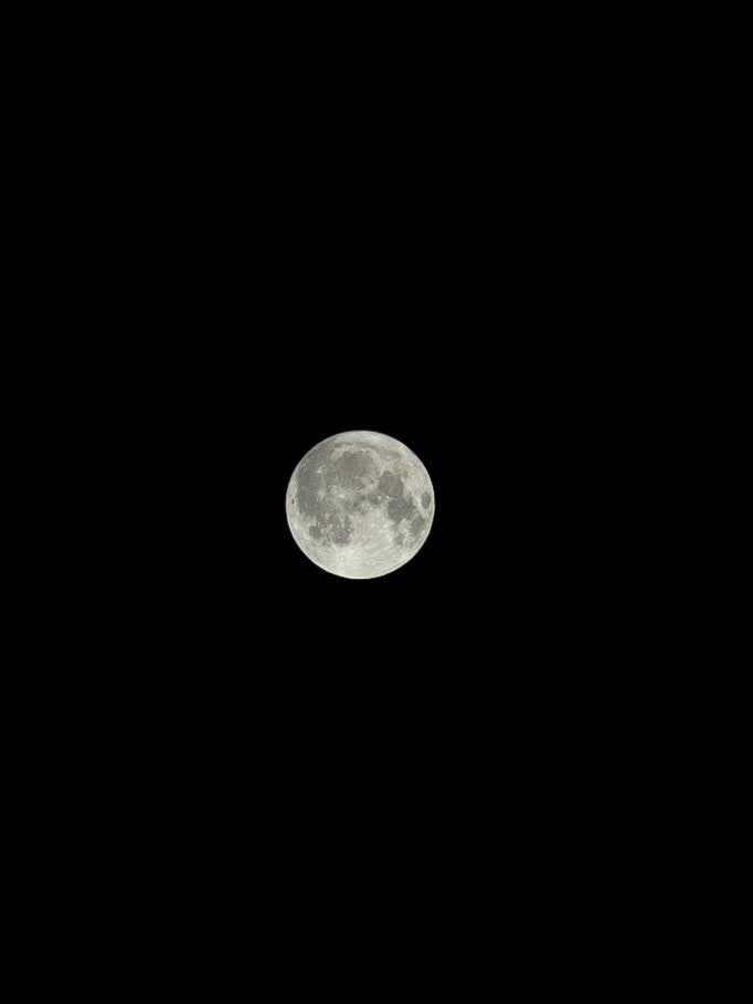 夜空に浮かぶ明るい満月の画像