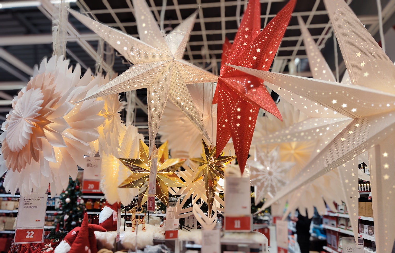 Exhibición de decoraciones navideñas en forma de estrella en una tienda