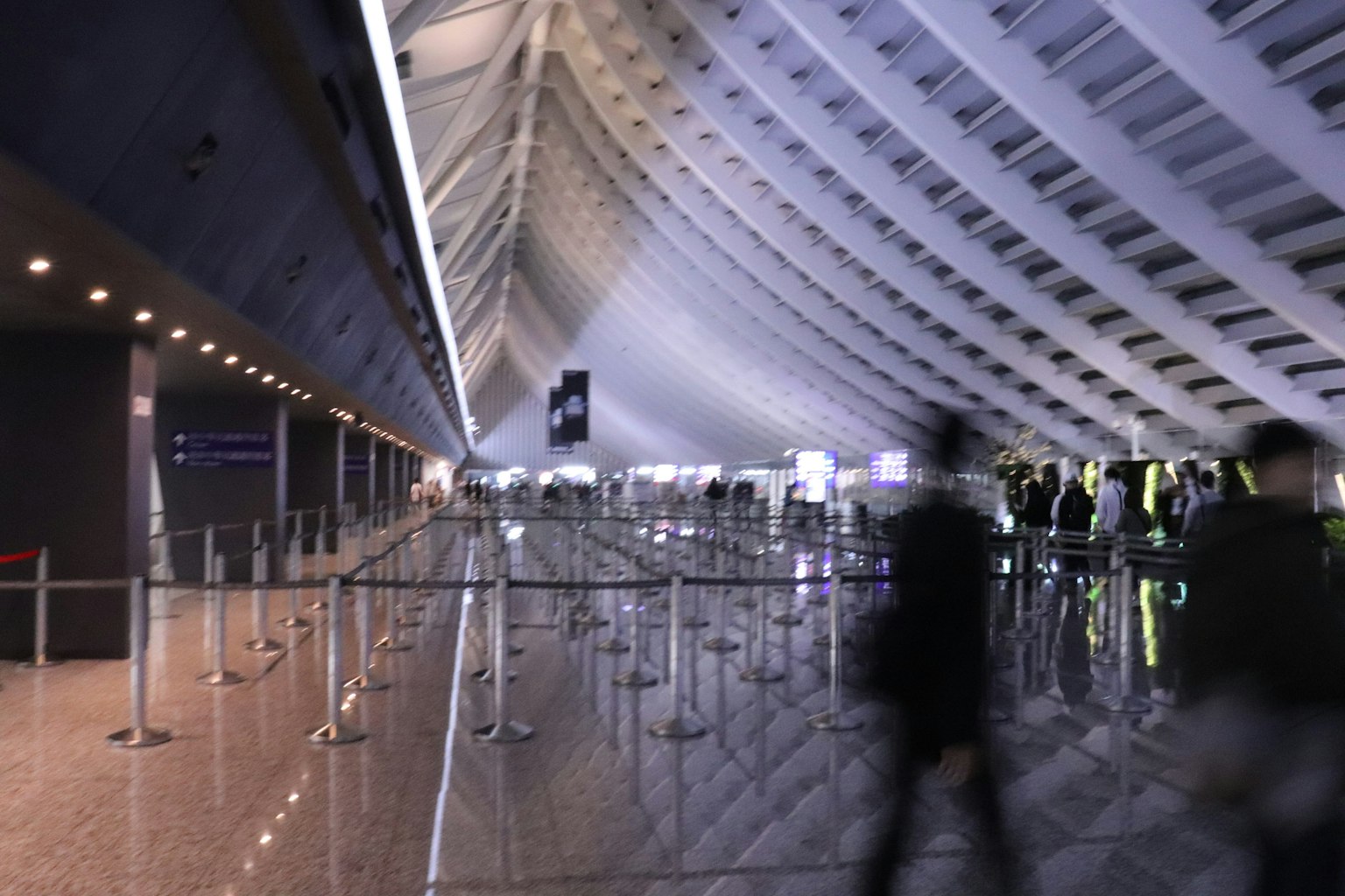 Interno moderno di un aeroporto con lunghe file per il check-in e un design del soffitto distintivo