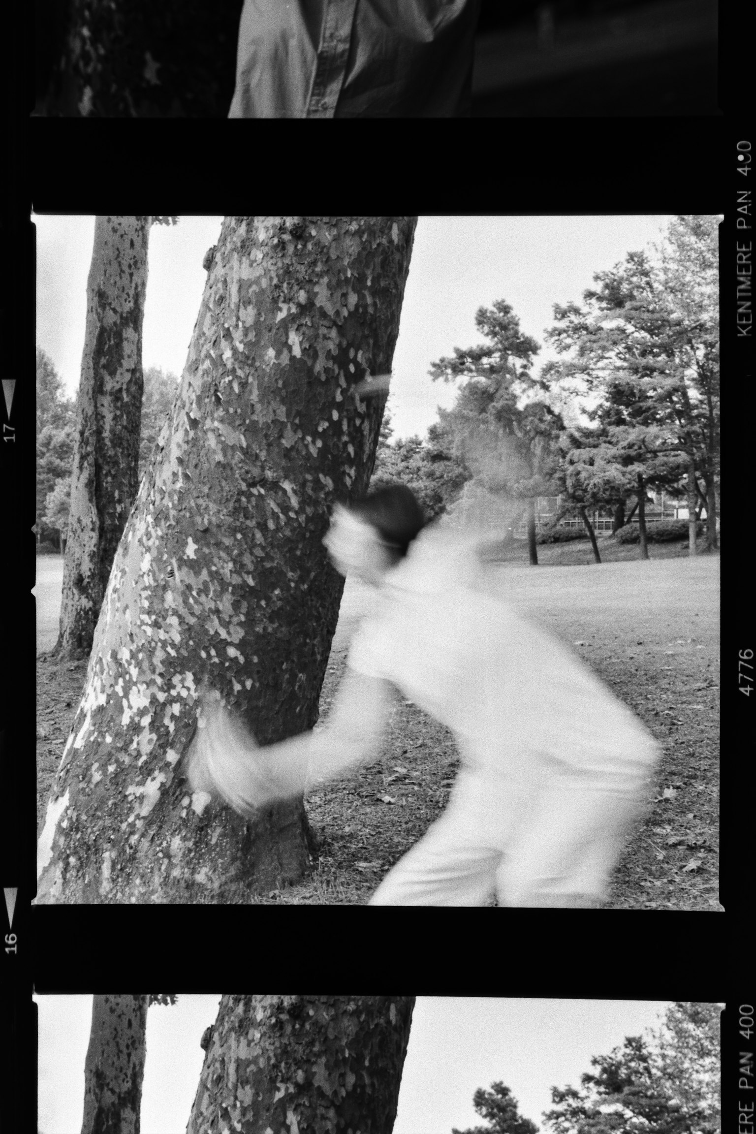 黒白の写真で木に寄りかかる人物が動いている