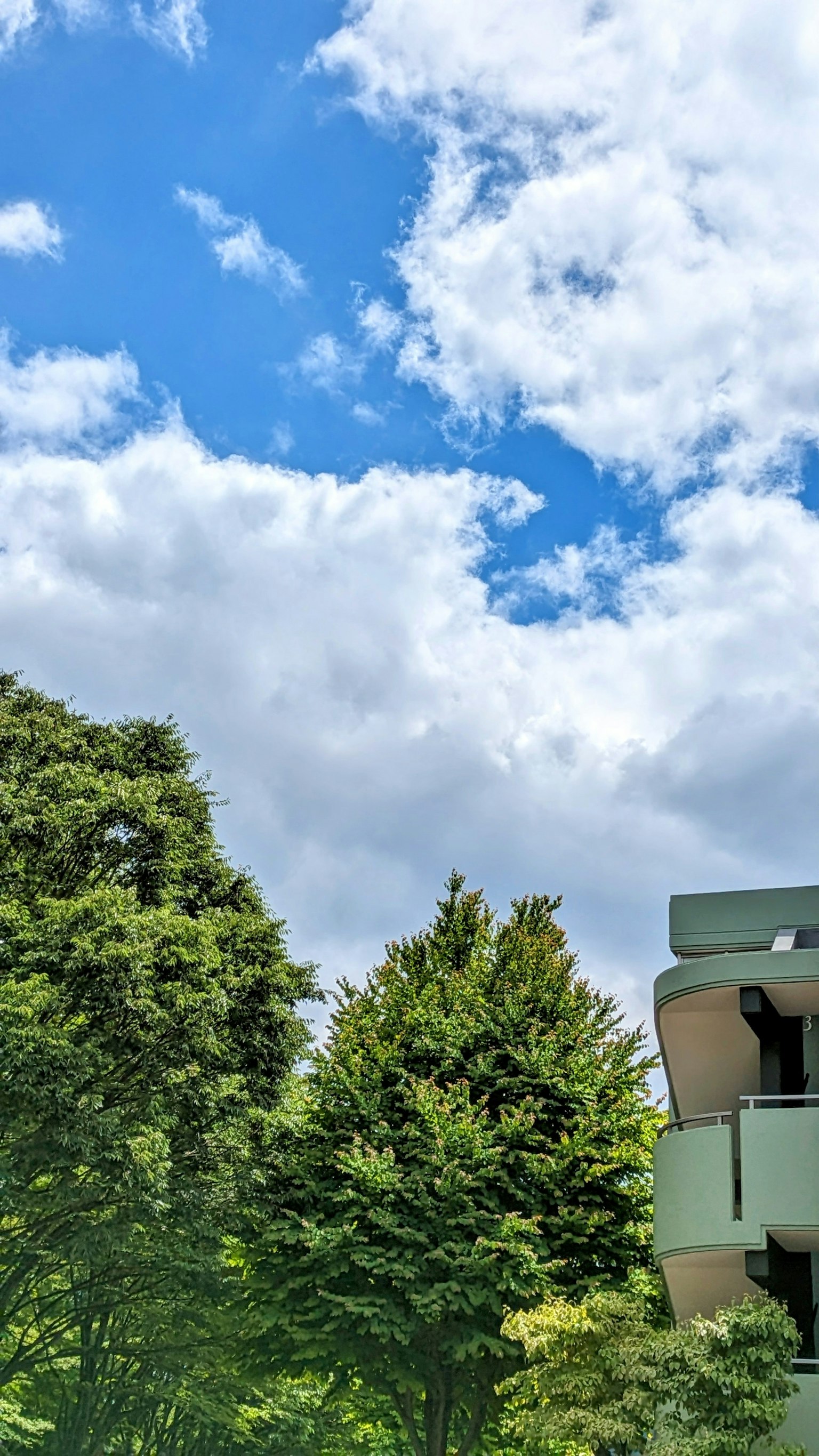 Día soleado con cielo azul y nubes blancas que presenta árboles verdes exuberantes y un edificio