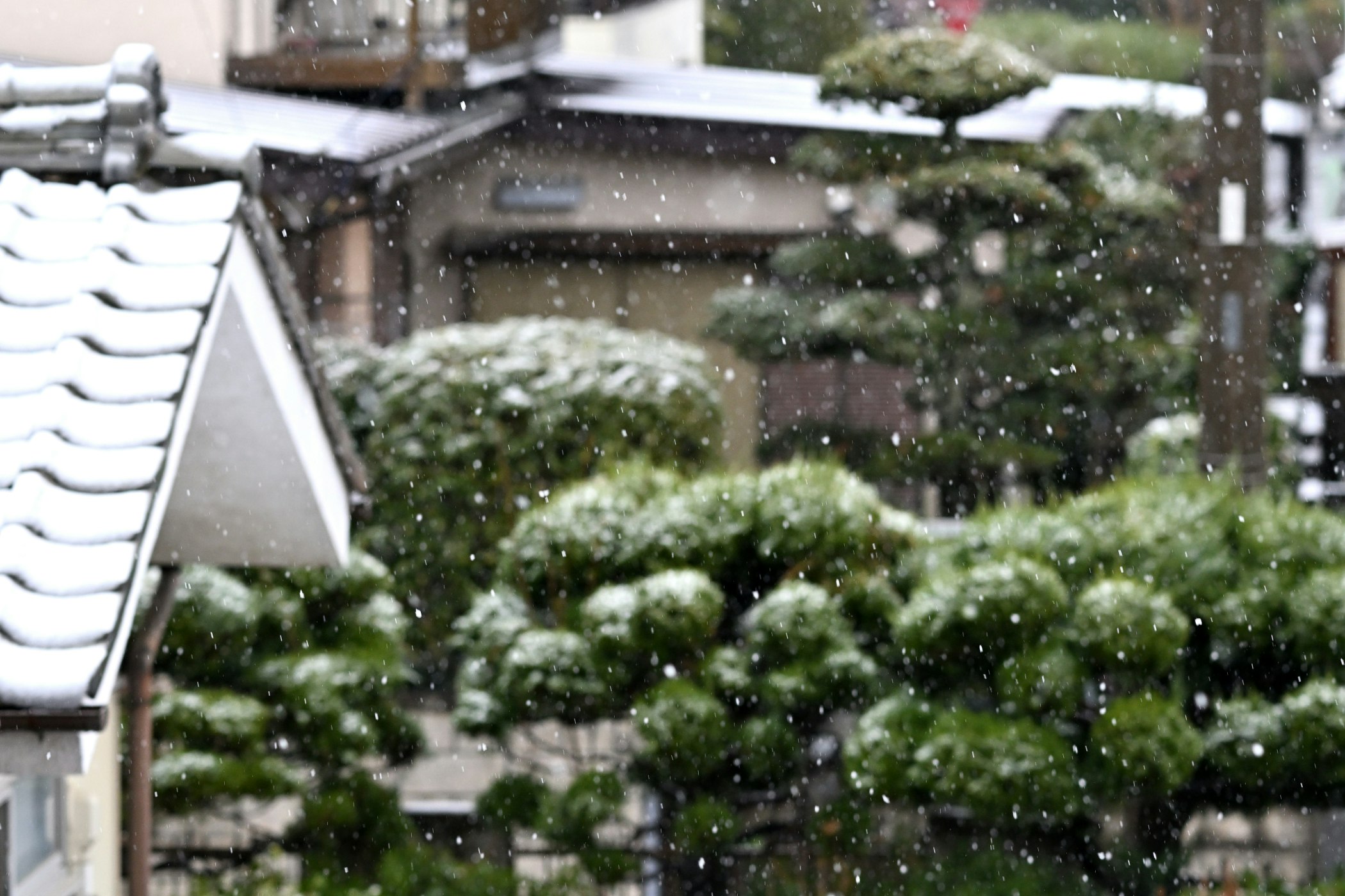 余寒の雪が降る街並みの屋根と木々