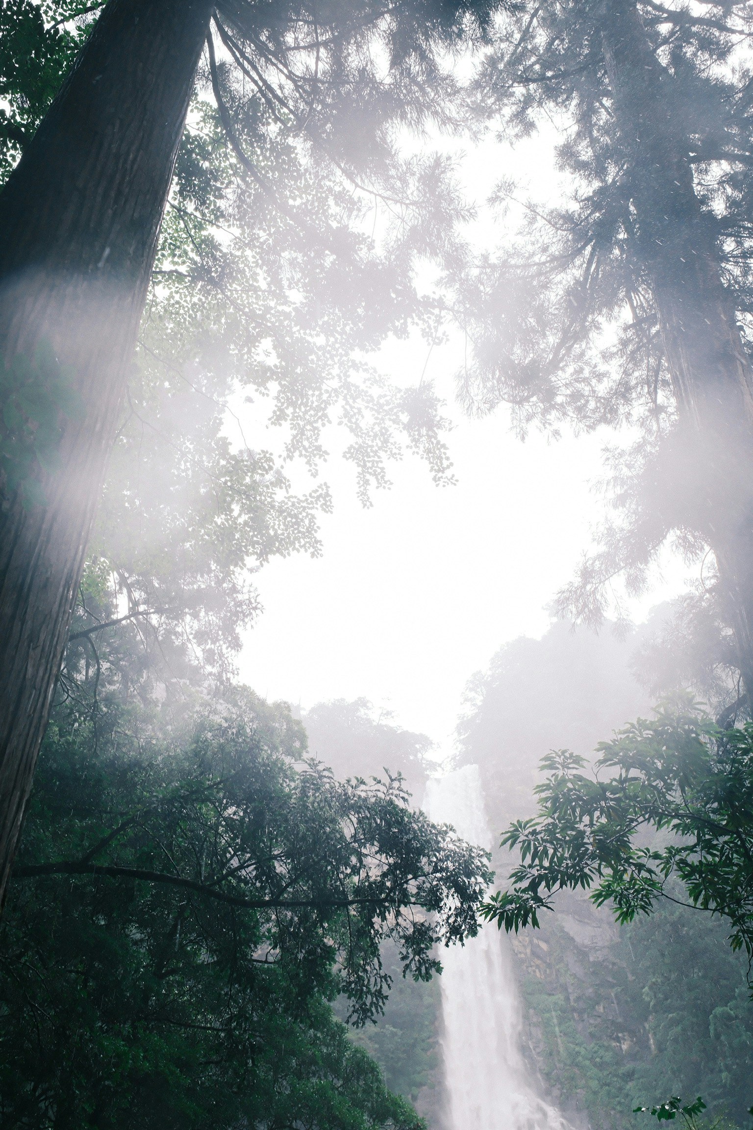 Pemandangan air terjun melalui pepohonan hutan berkabut
