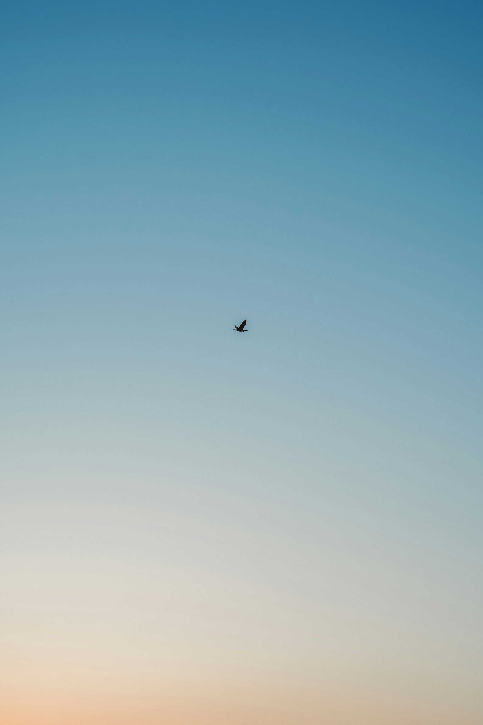 Un piccolo aereo che fluttua in un cielo blu