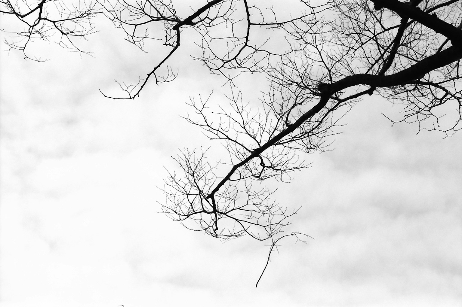 photo-f7gyyYpc0mvAAh1DHBB9-image
