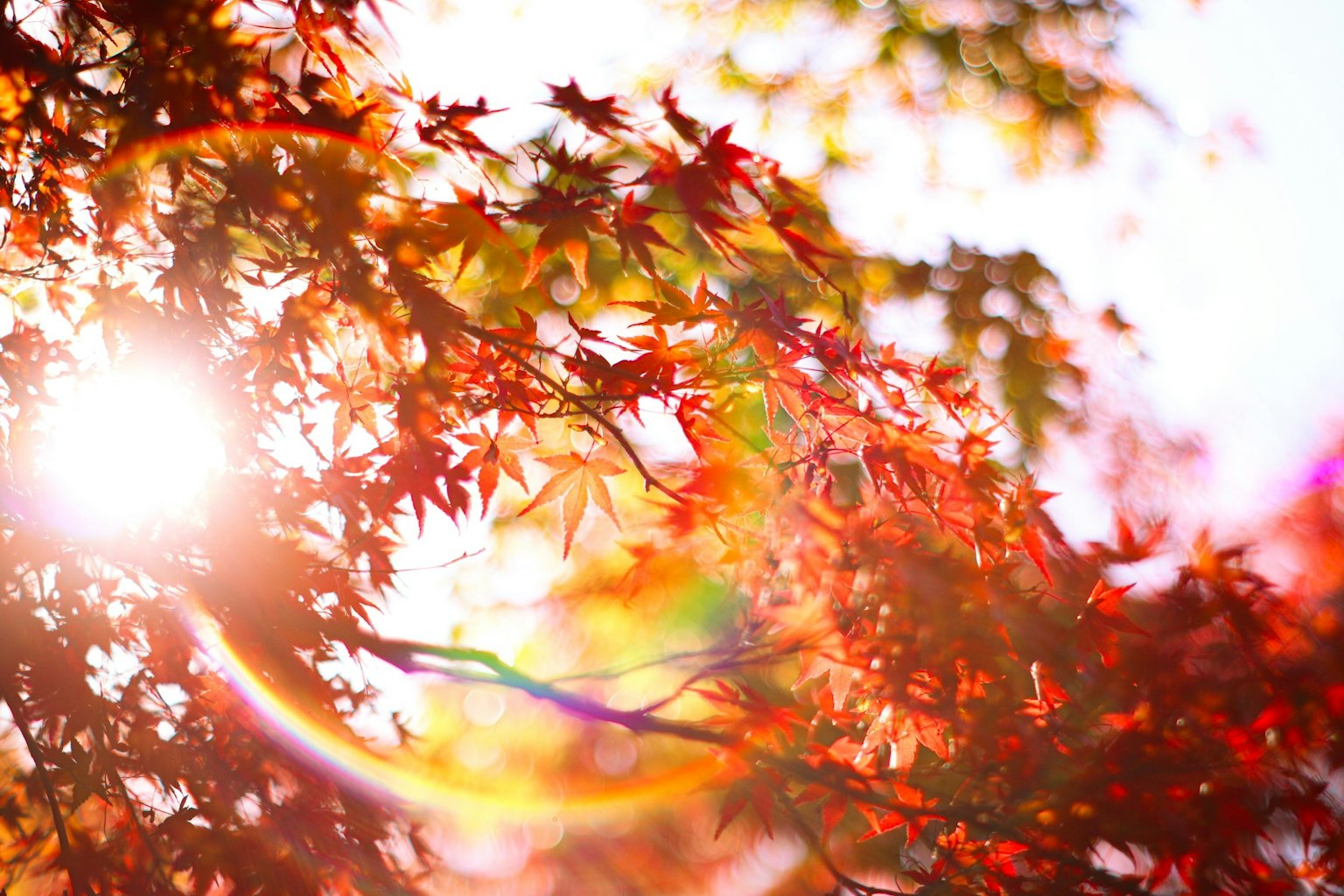 photo-f8DjKHiDpBQ8AHNXeOtf-image