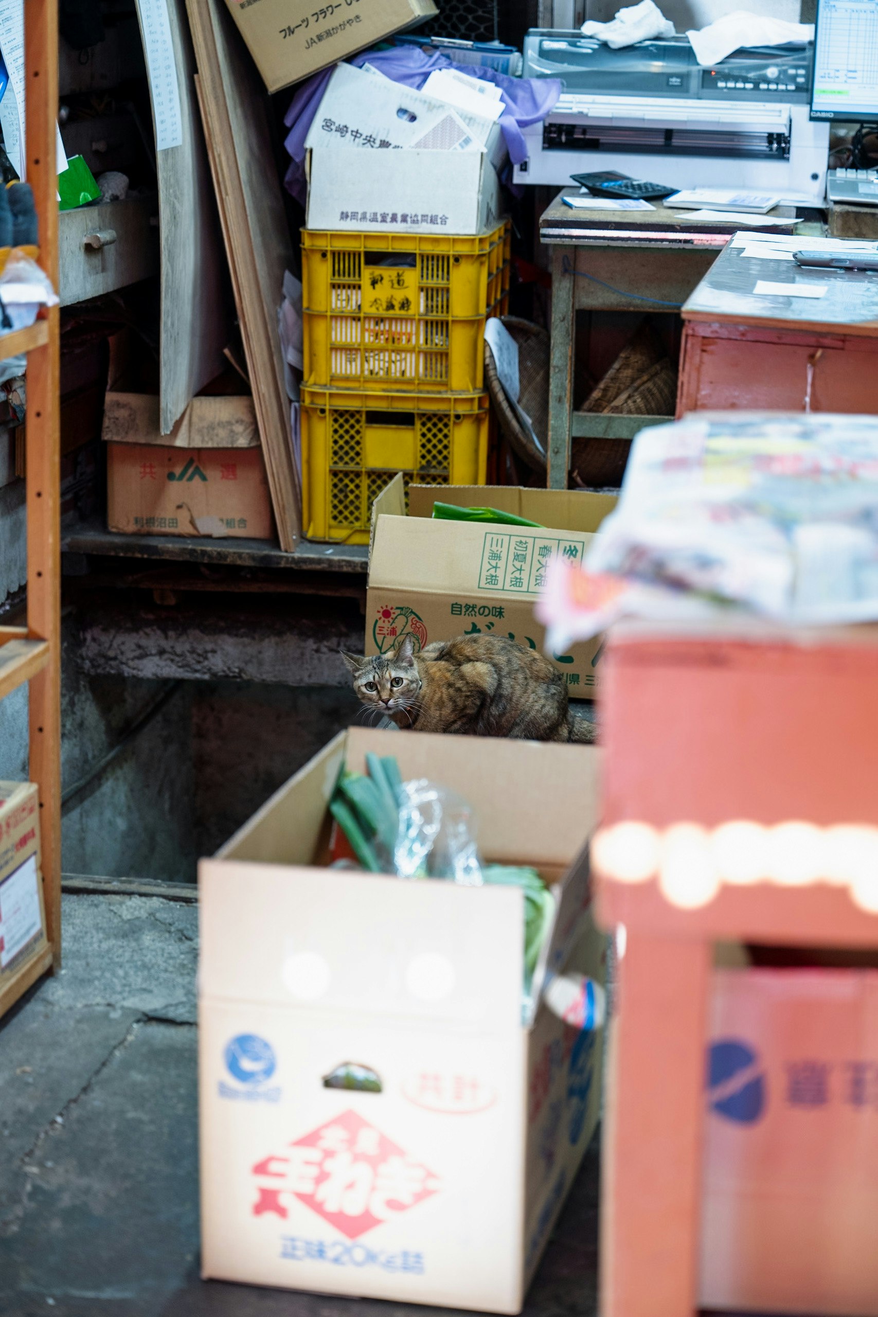 堆满纸箱的杂乱仓库通道