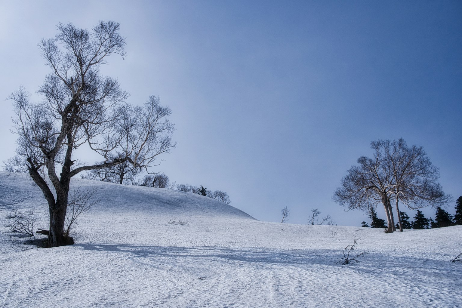 Landschaft mit schneebedeckten Hügeln und Bäumen unter blauem Himmel