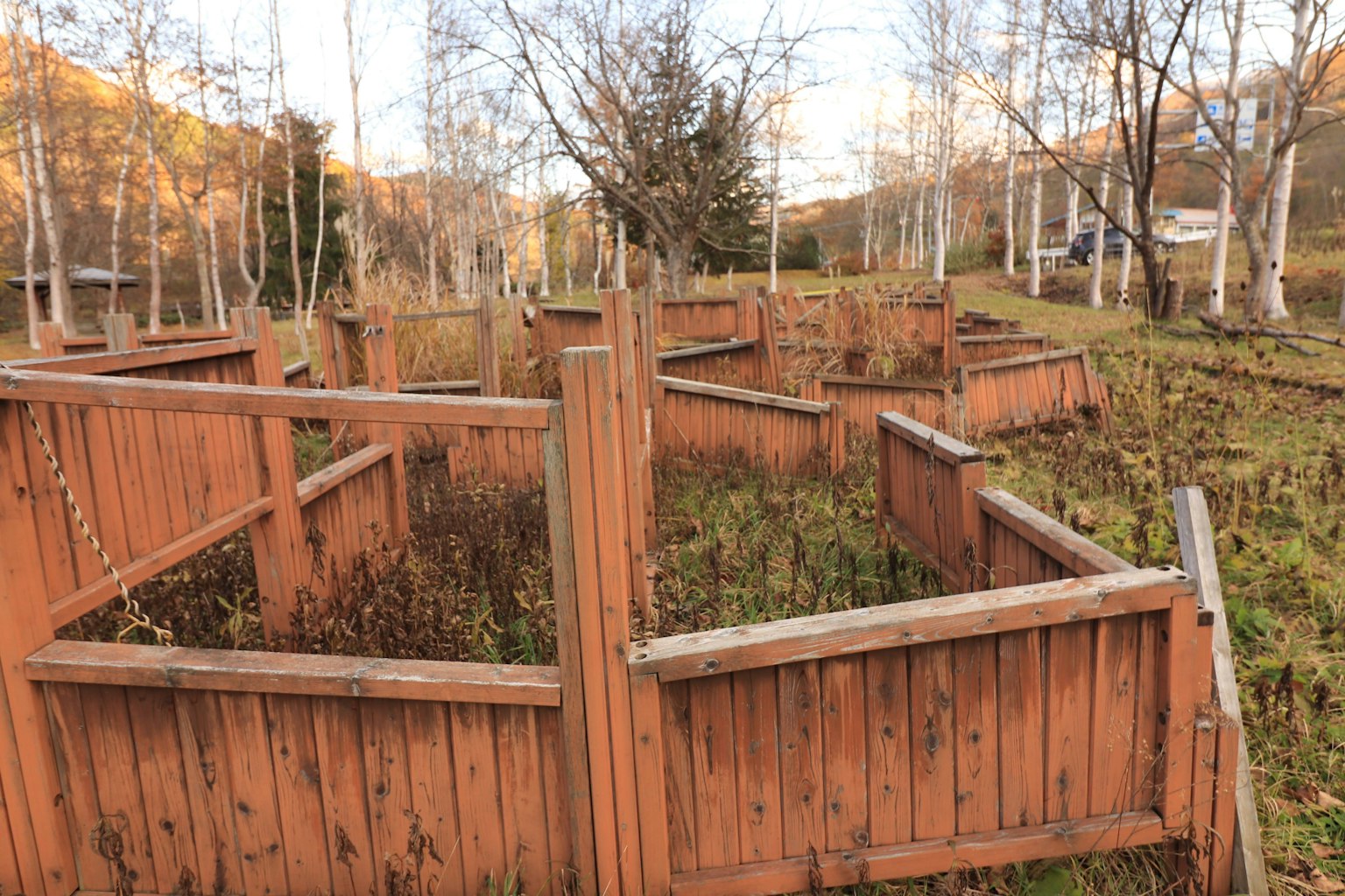 Jardín cubierto de maleza con cercas de madera dispuestas en laberinto