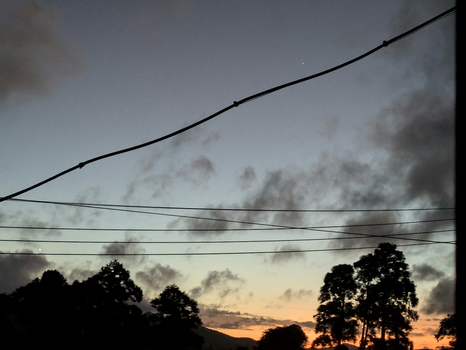 Langit senja dengan pohon siluet dan kabel listrik