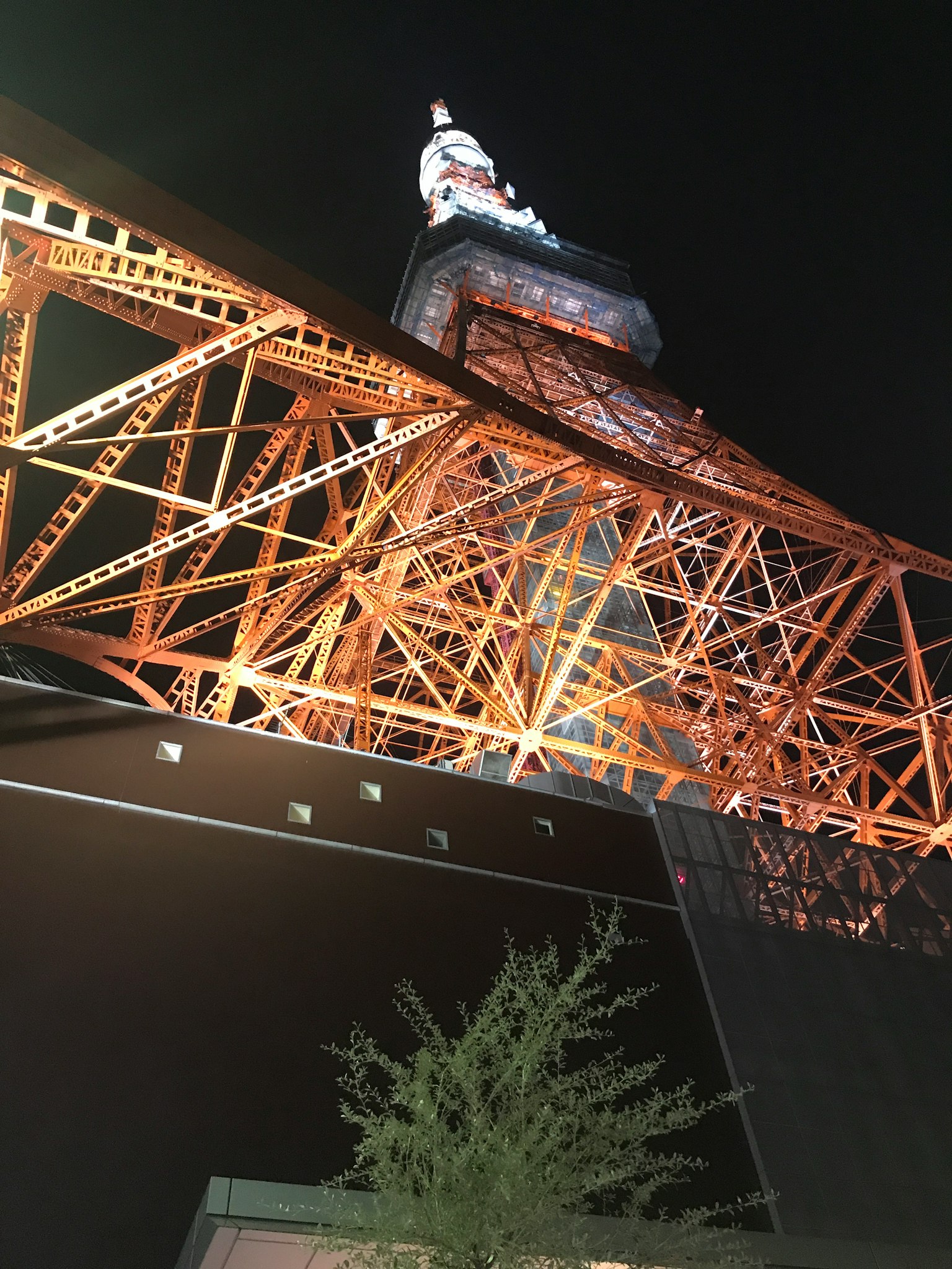 Vue de la Tour de Tokyo la nuit depuis le bas mettant en valeur la structure en acier orange