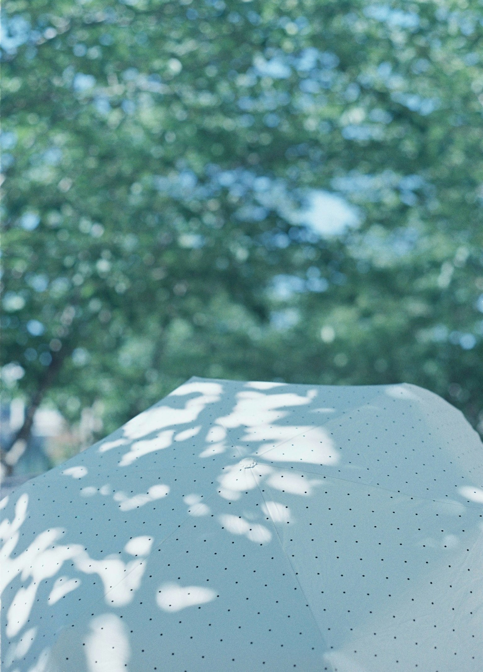 White umbrella casting shadows against a blue background