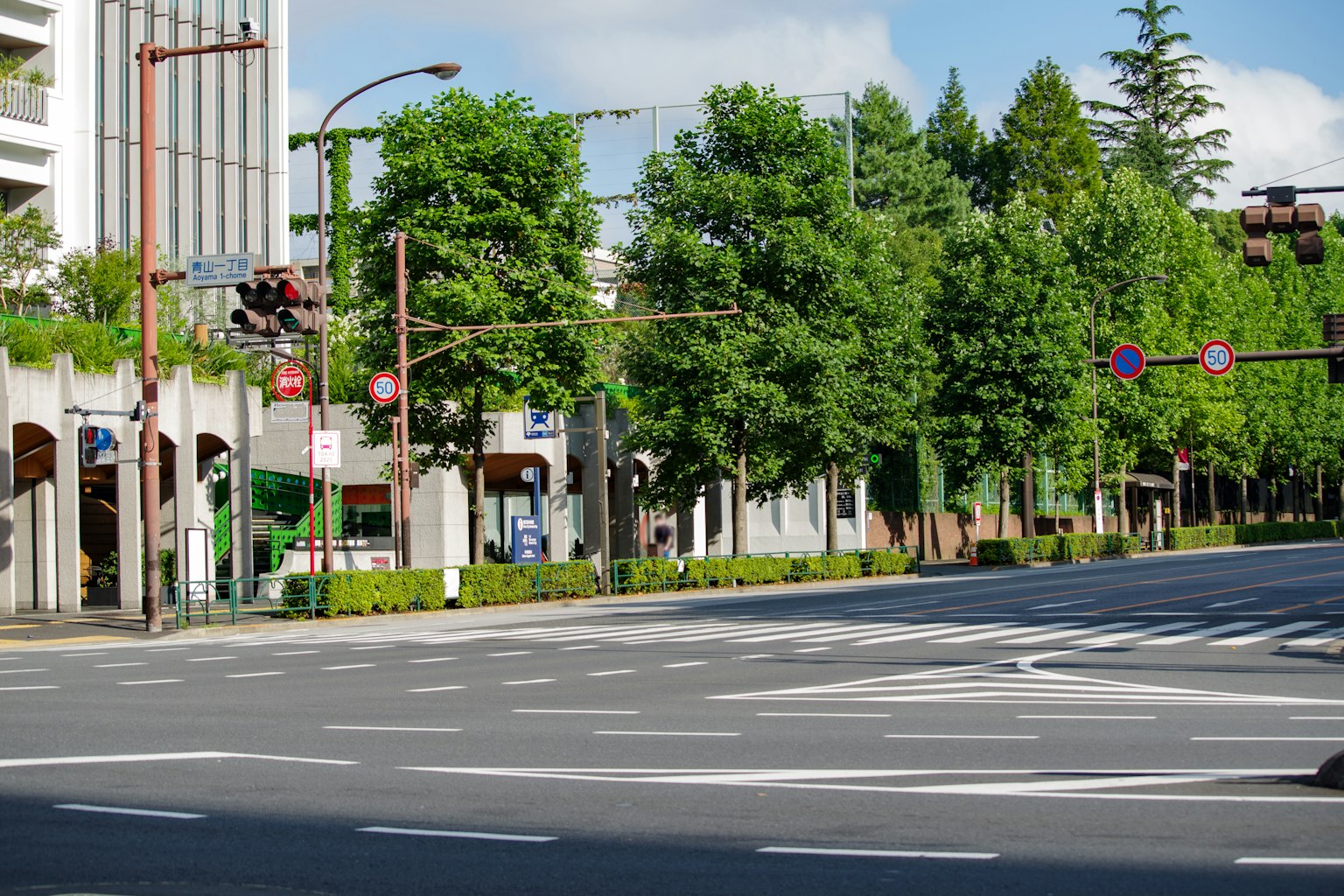 城市街道場景，綠意盎然和交通信號