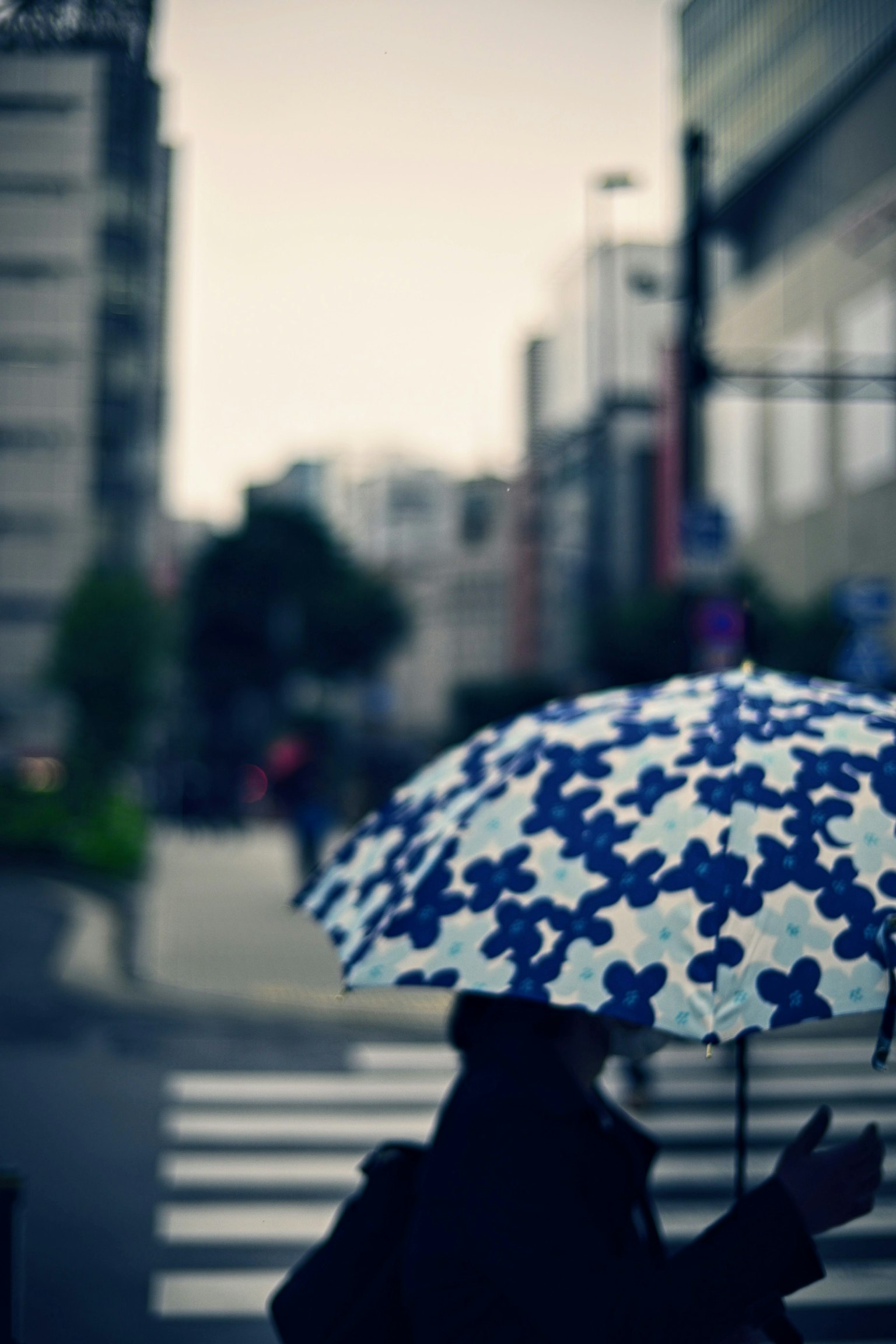 Persona che cammina in città con un ombrello floreale blu