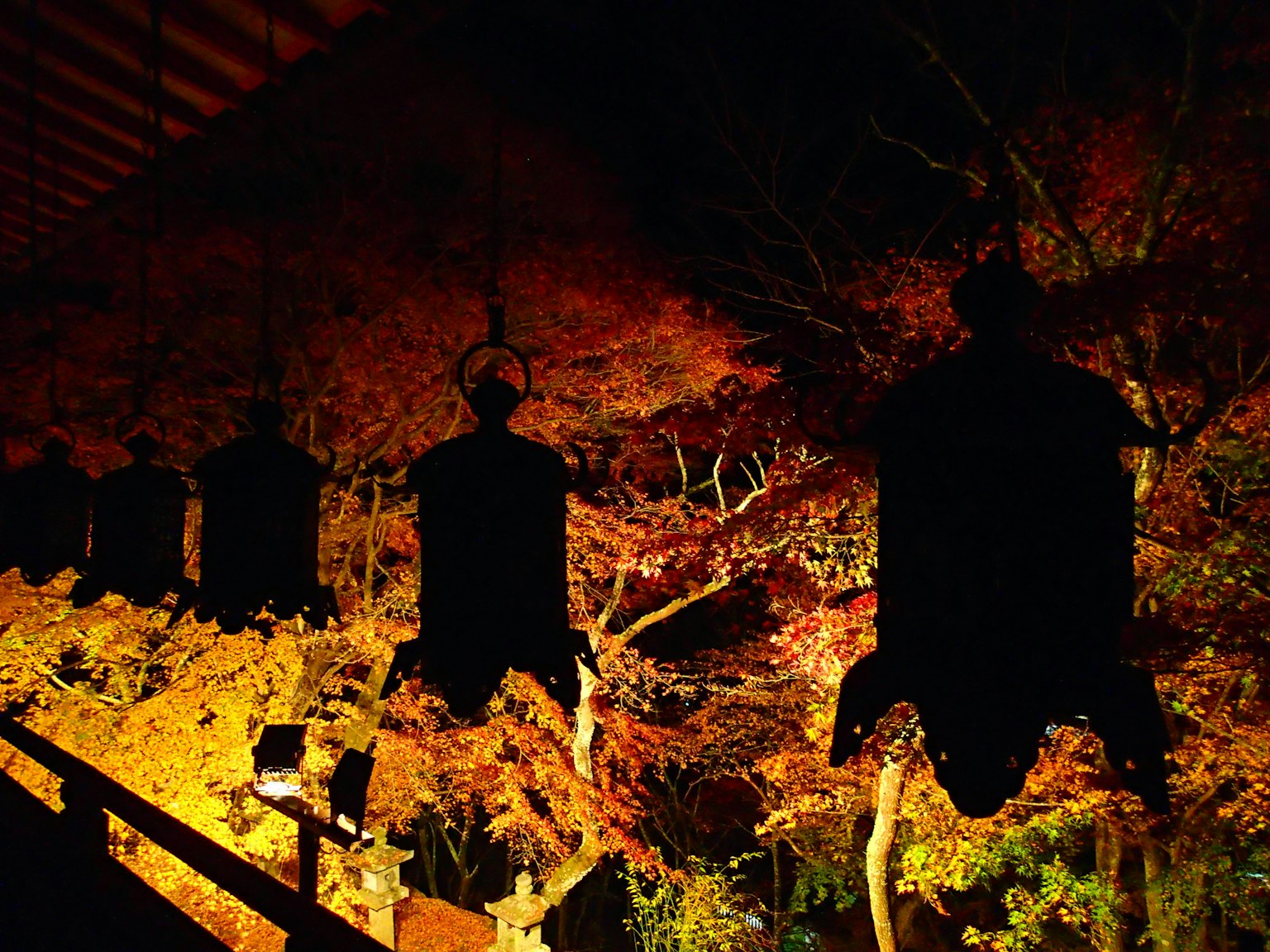 夜间照亮的秋叶与灯笼剪影