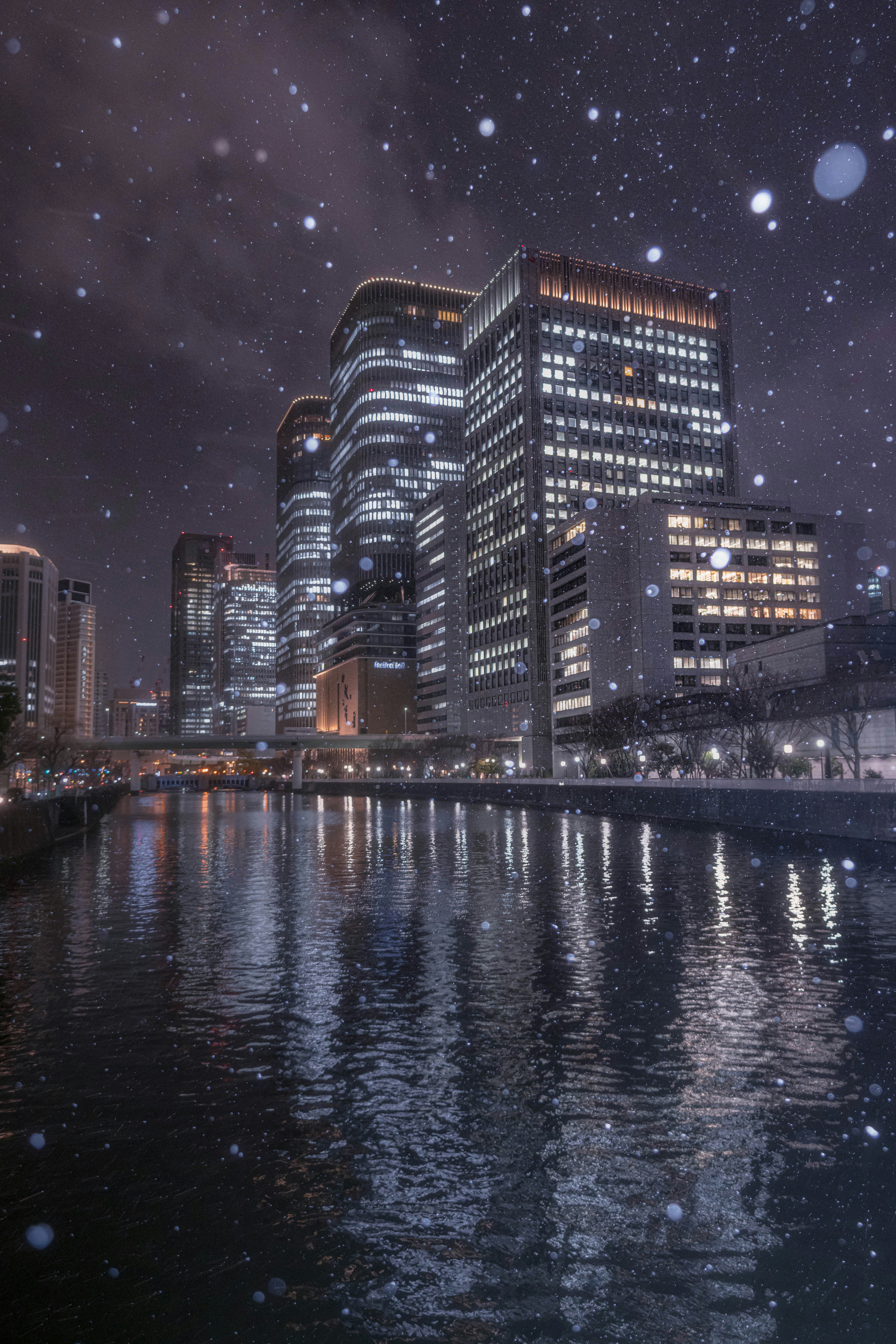 雪の降る淀屋橋周辺の夜景と川沿いのビル群