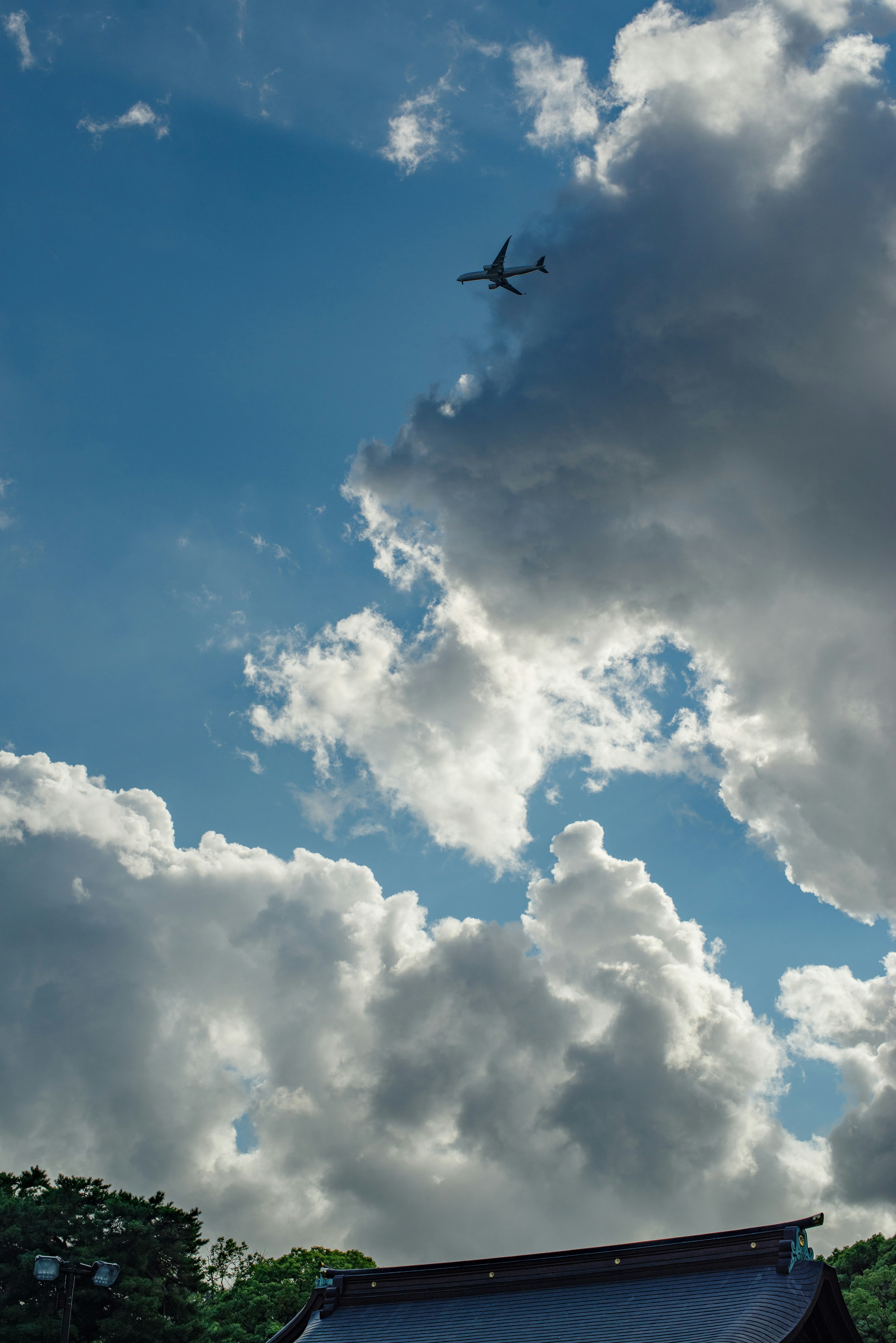 雲の上空を飛行機が飛ぶ明治神宮の眺め