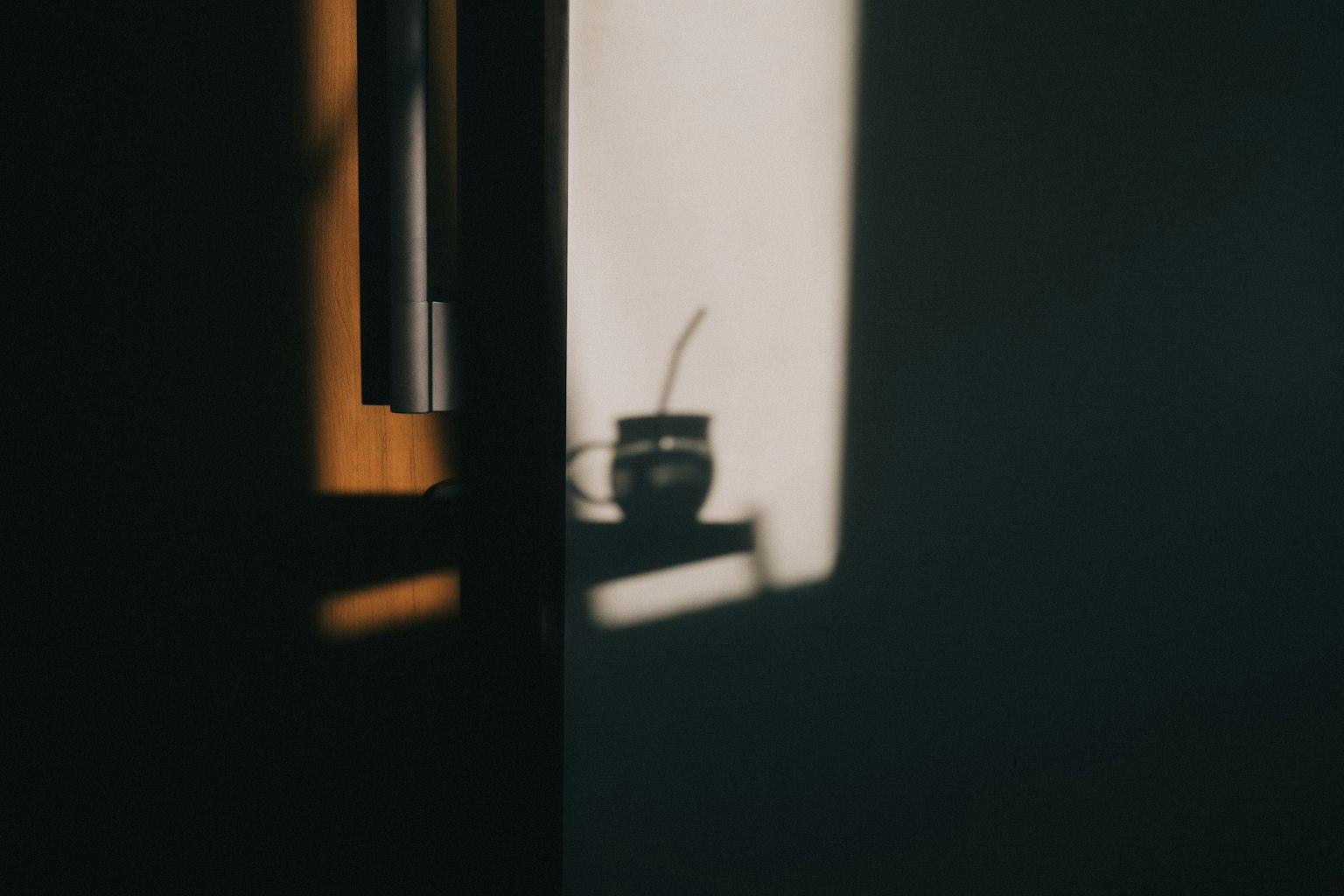 Silhouette of a plant and cup cast by light on a wall