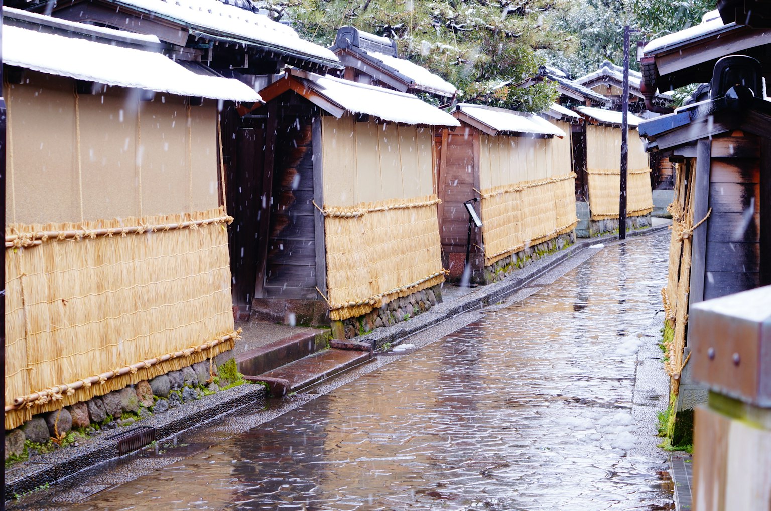 Tuyết rơi trên phố truyền thống Kyoto với hàng rào tre