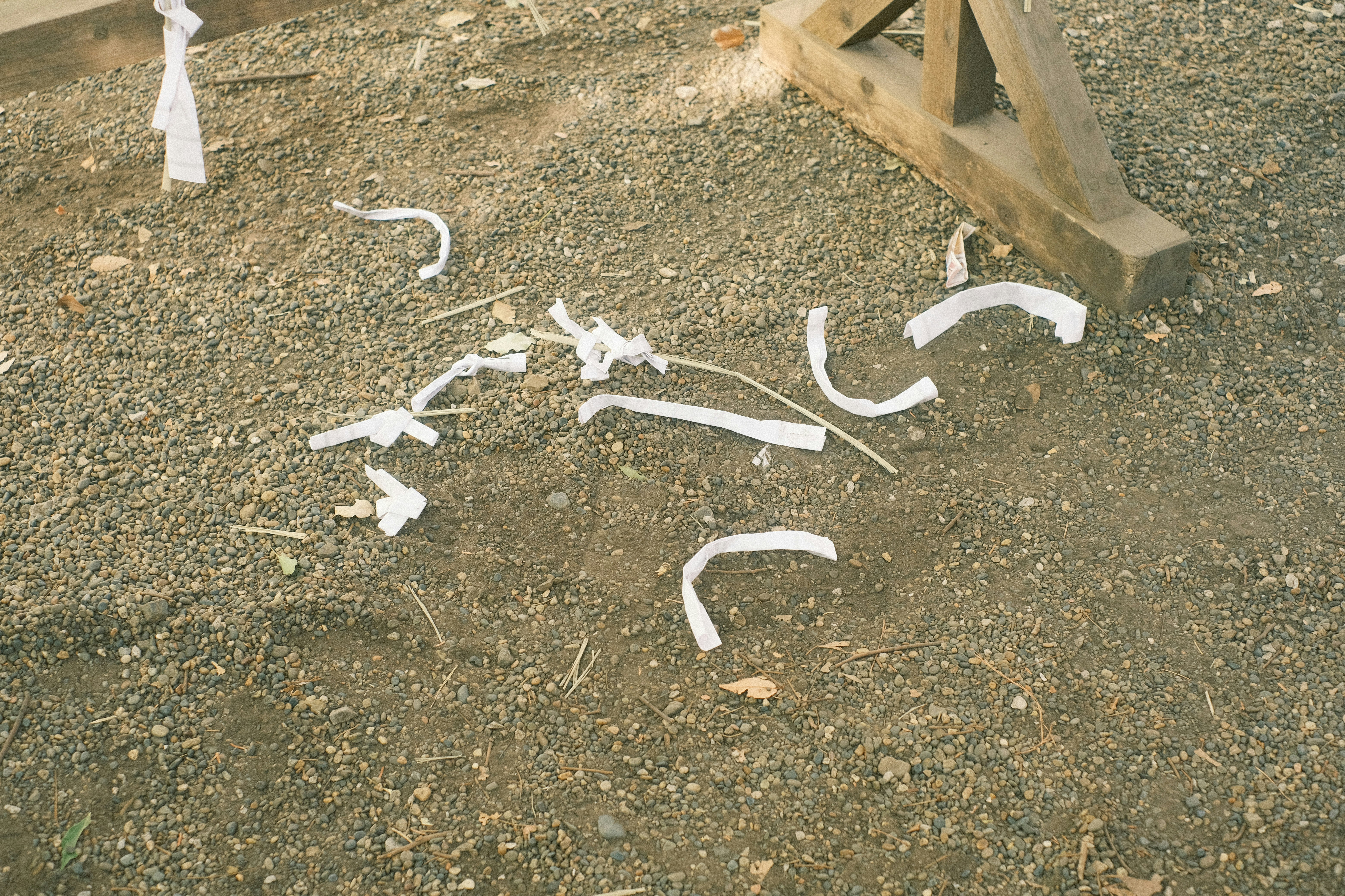 white fabric scraps and string-like pieces scattered on the ground