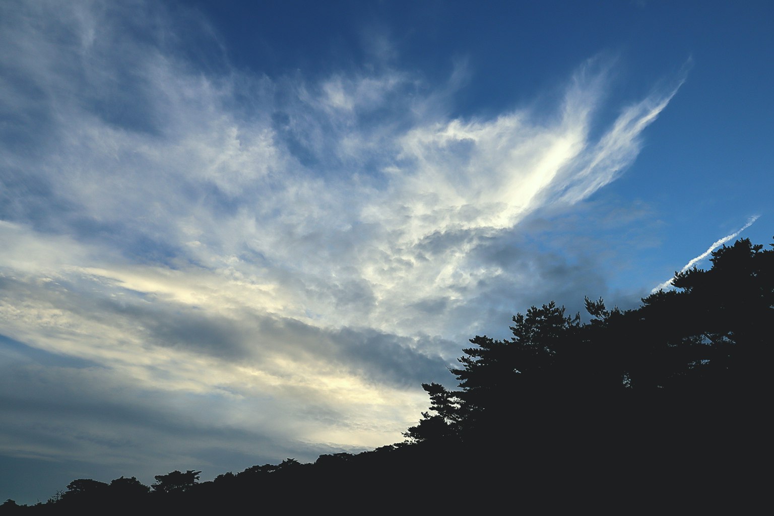 Nubes blancas extendiéndose en un cielo azul con árboles en silueta