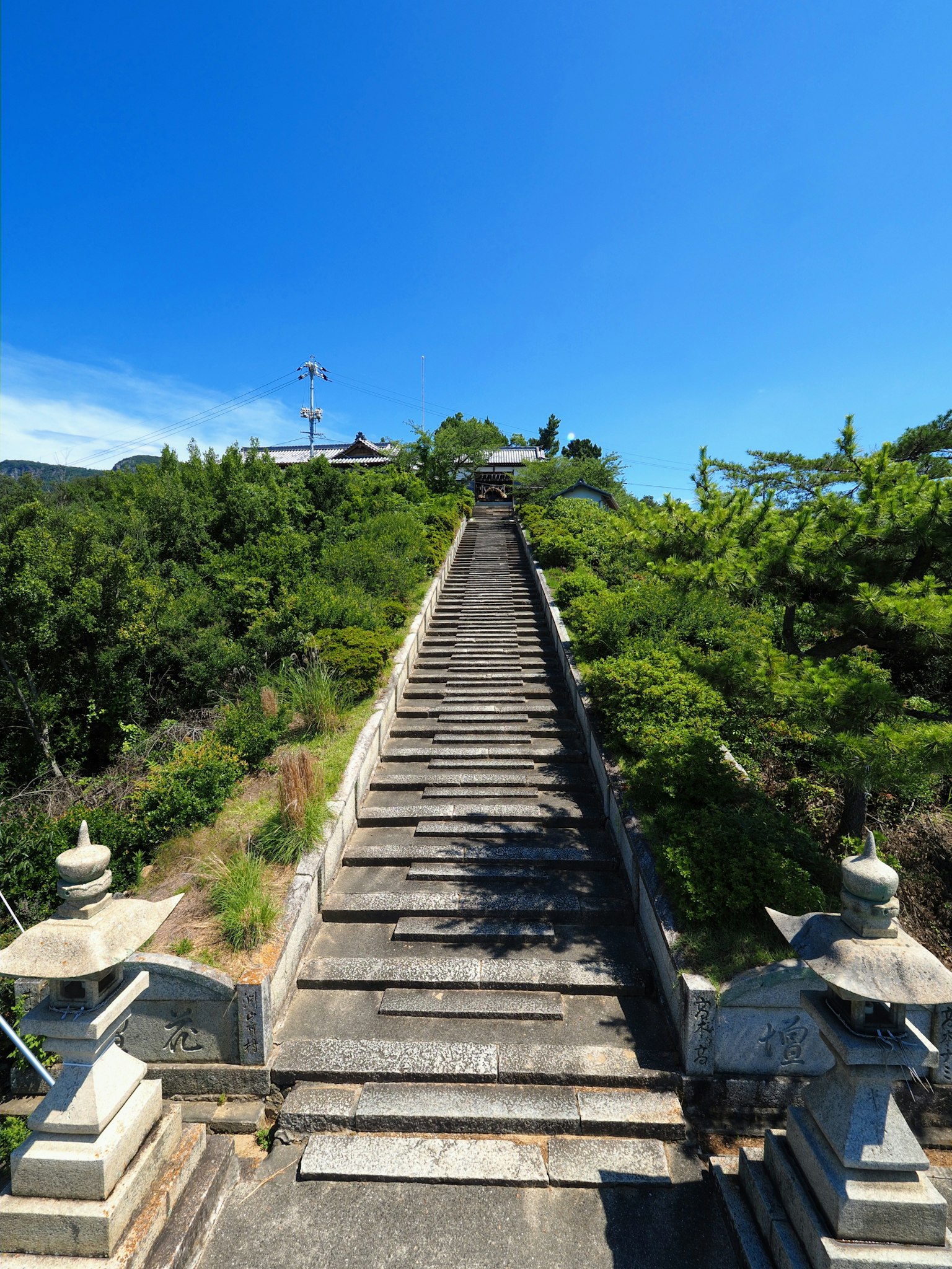 A long staircase surrounded by greenery leading up to a clear blue sky