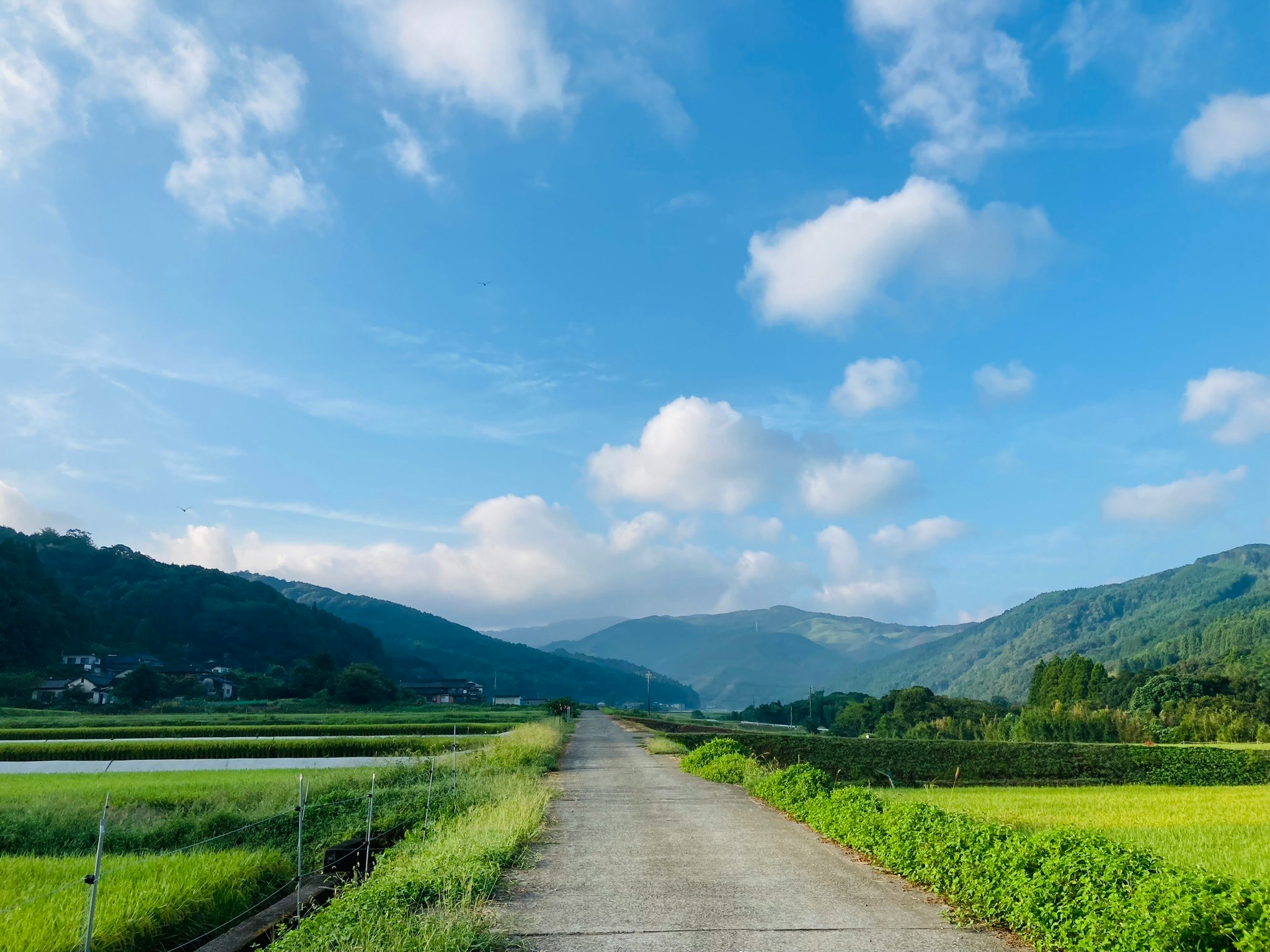 A straight rural road through green fields toward distant mountains under a blue sky