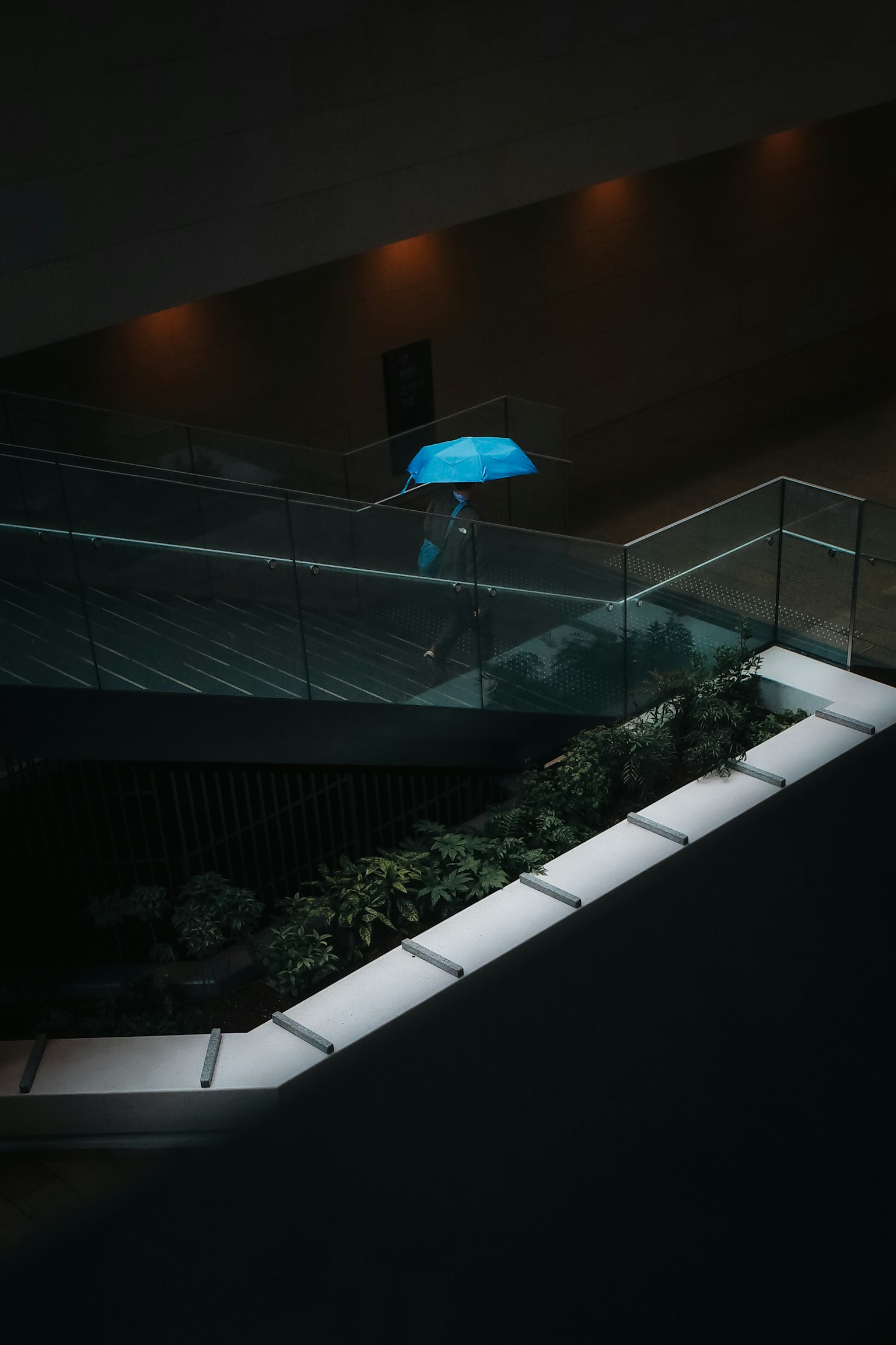 Una persona con un paraguas azul bajando una escalera