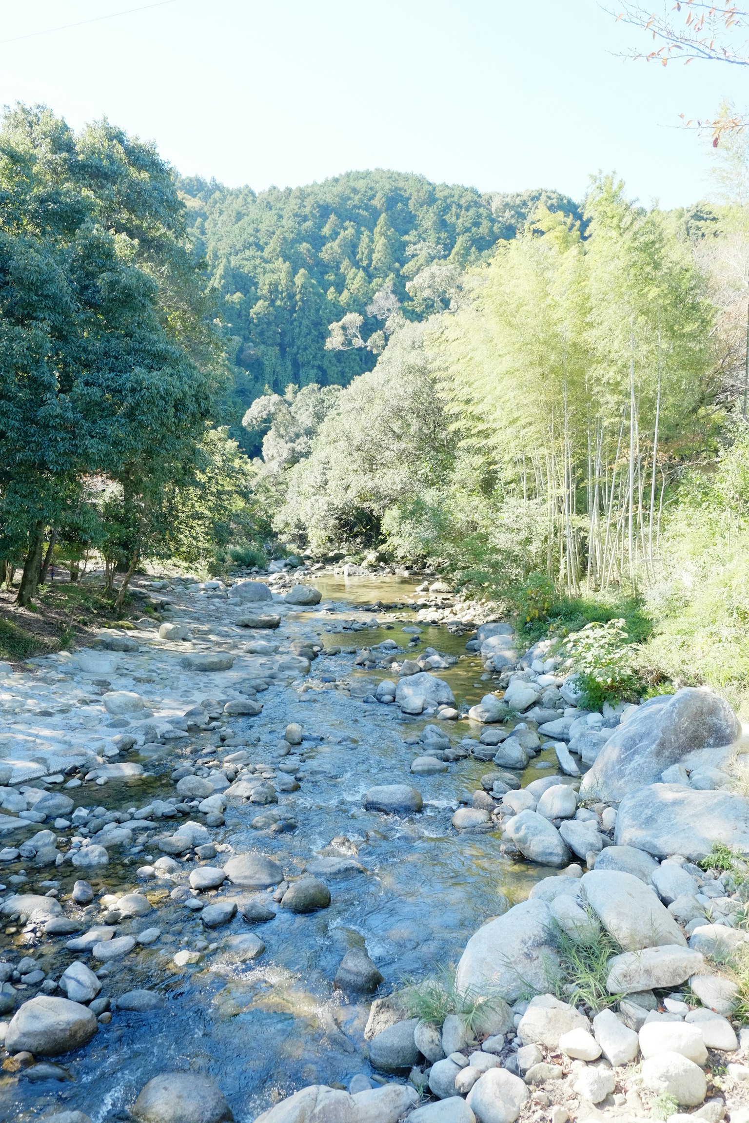 Ein ruhiger Fluss, der durch eine grüne Landschaft mit Steinen fließt