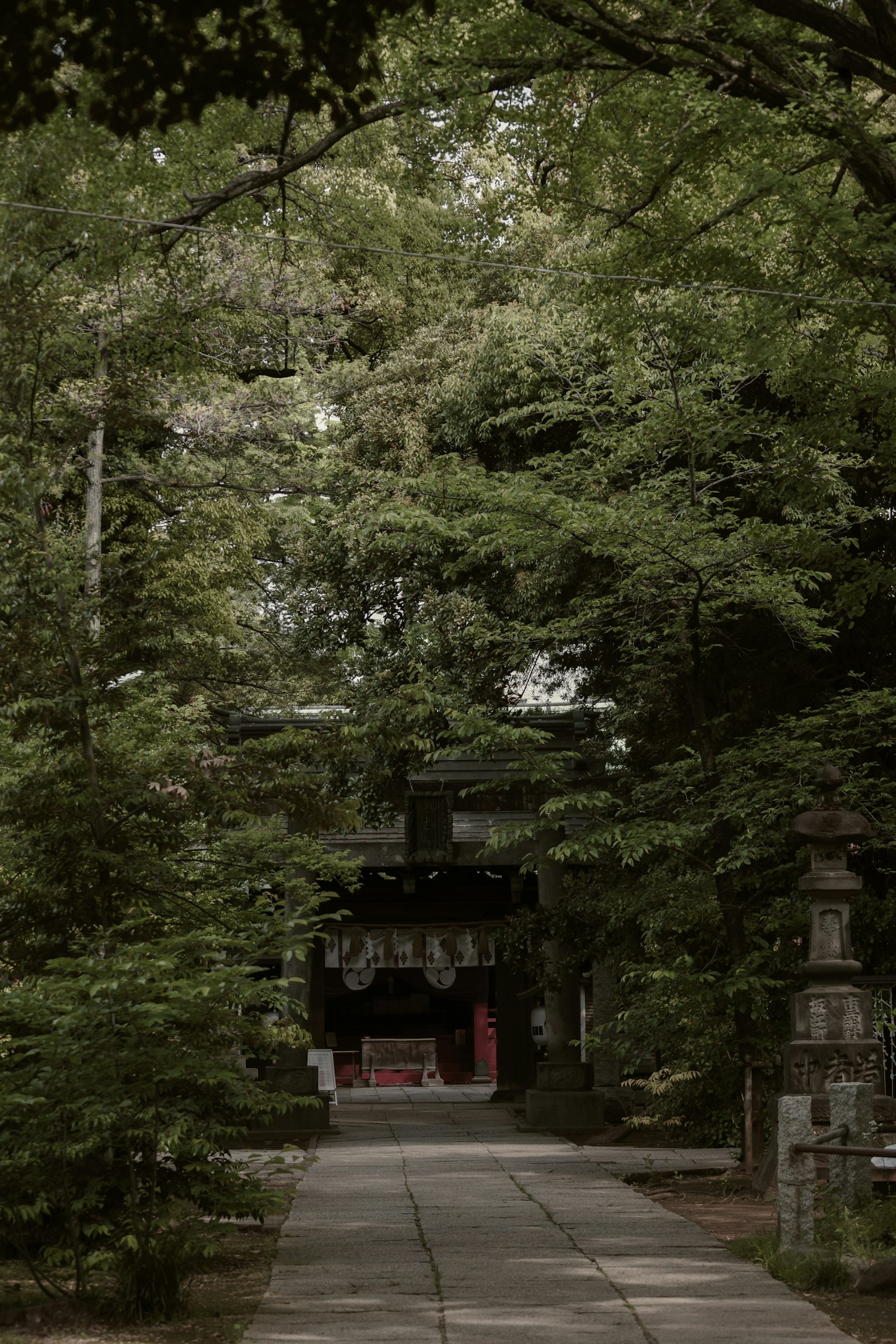 Pathway leading to a shrine surrounded by lush greenery