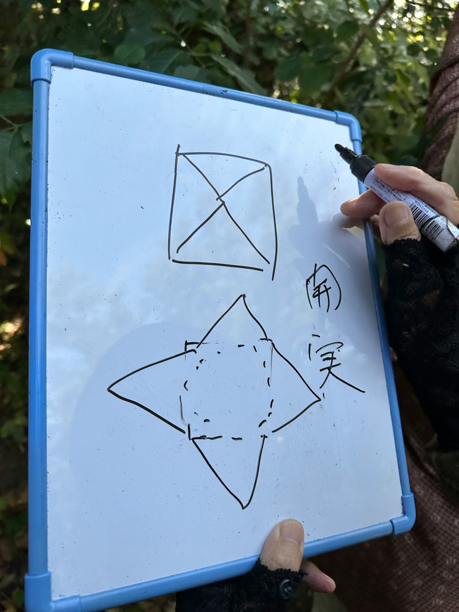 Forme disegnate su una lavagna bianca tra cui un quadrato e una stella